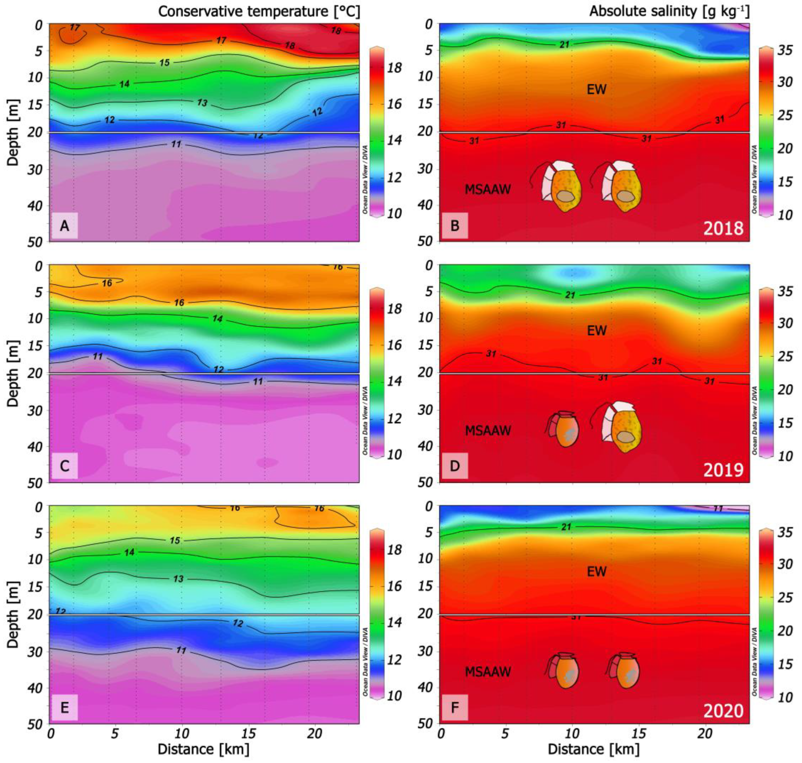 Marinedrugs 21 00064 g010 Marinedrugs 21 00064 g010
