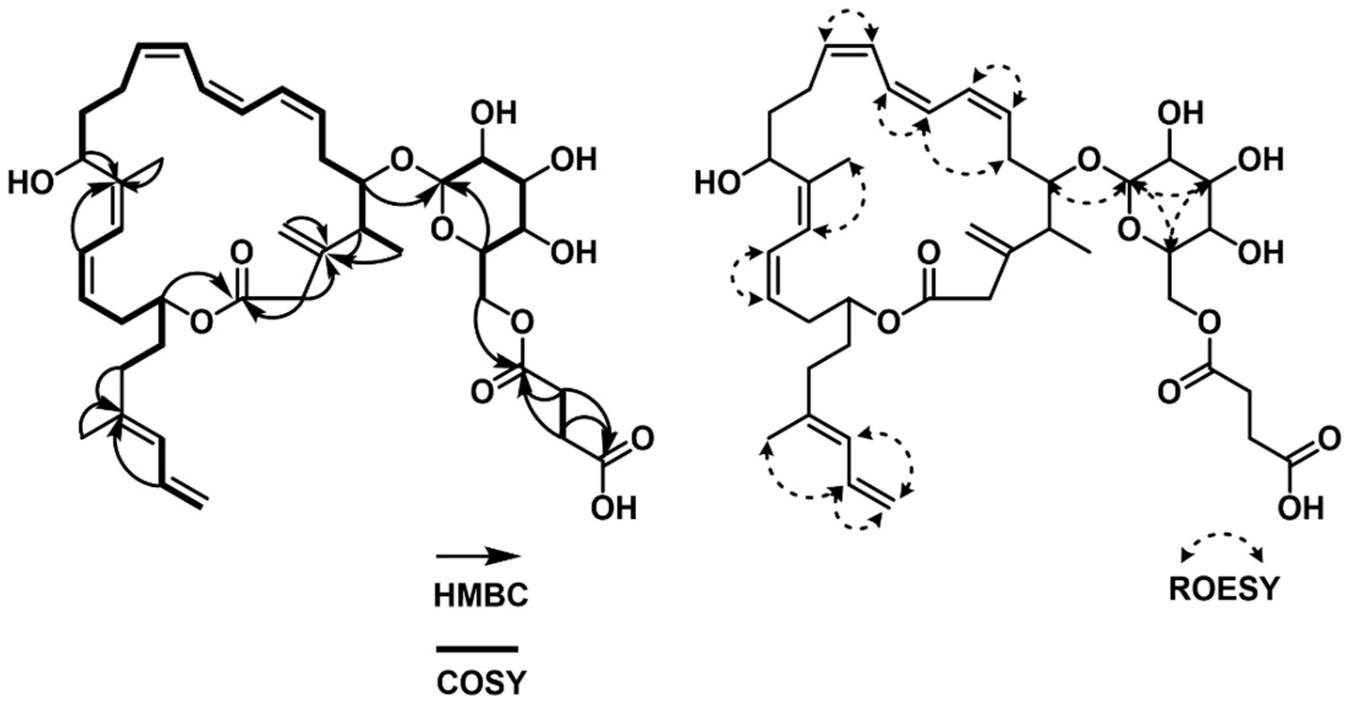 Marinedrugs 21 00067 g002 Marinedrugs 21 00067 g002