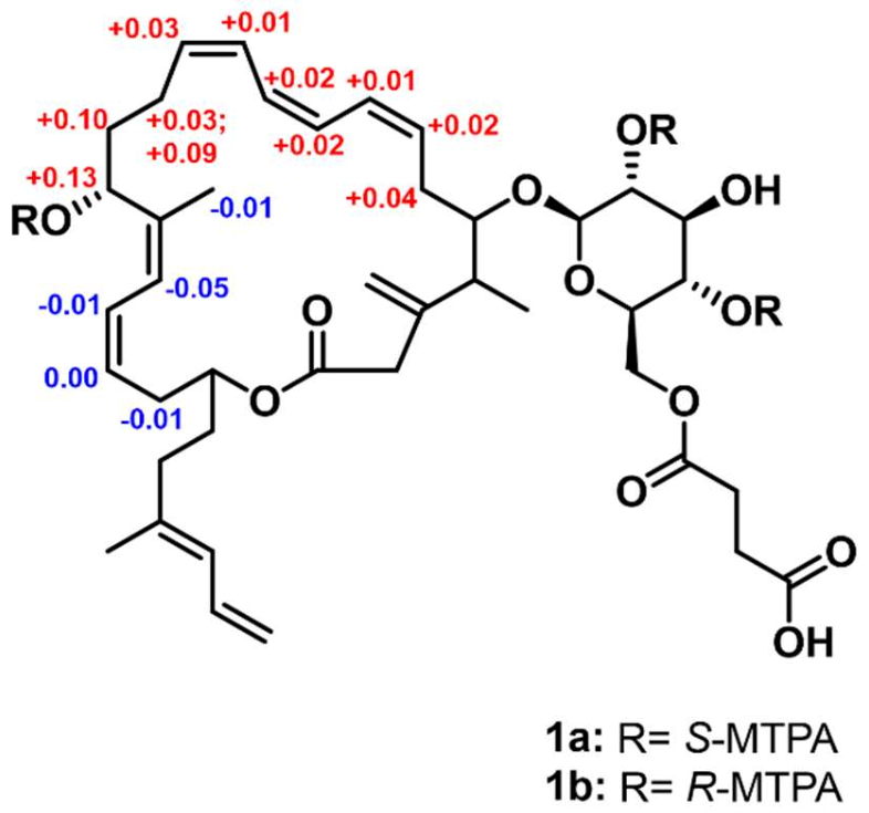 Marinedrugs 21 00067 g004 Marinedrugs 21 00067 g004