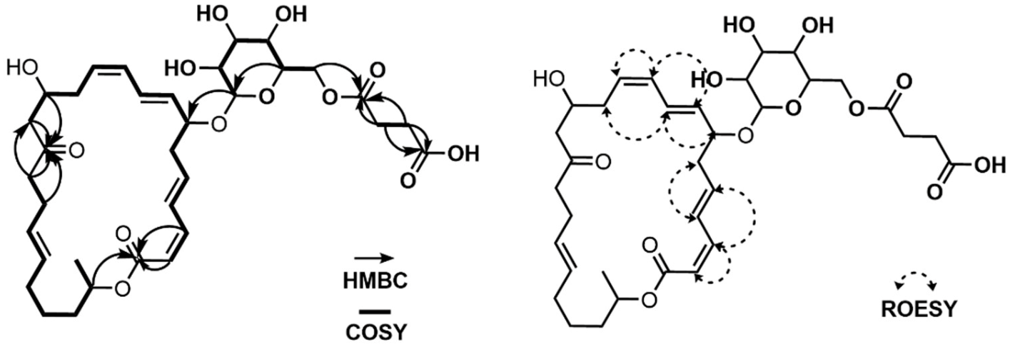 Marinedrugs 21 00067 g005 Marinedrugs 21 00067 g005