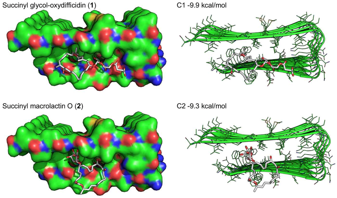 Marinedrugs 21 00067 g007 Marinedrugs 21 00067 g007
