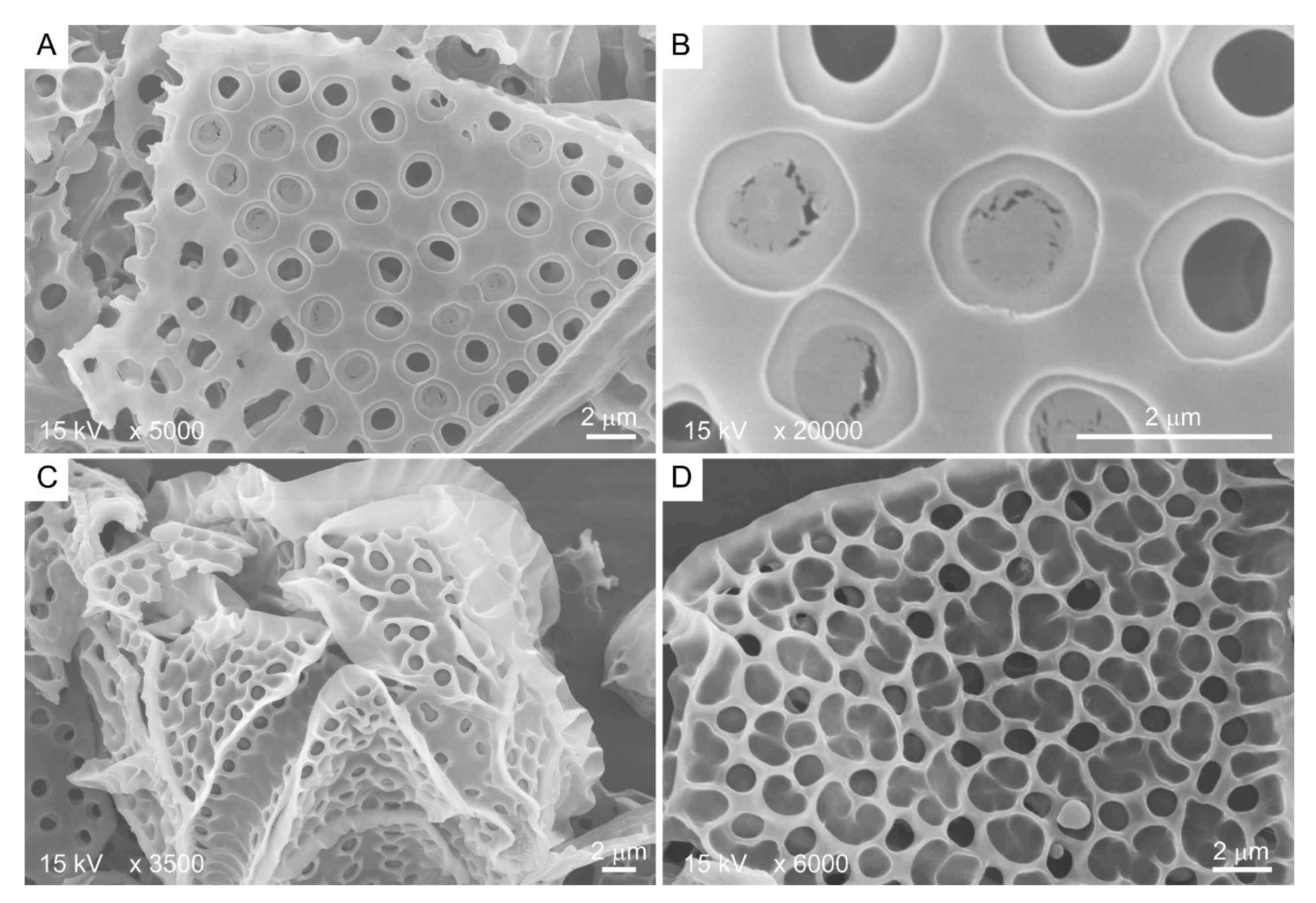 Marinedrugs 21 00070 g003 Marinedrugs 21 00070 g003