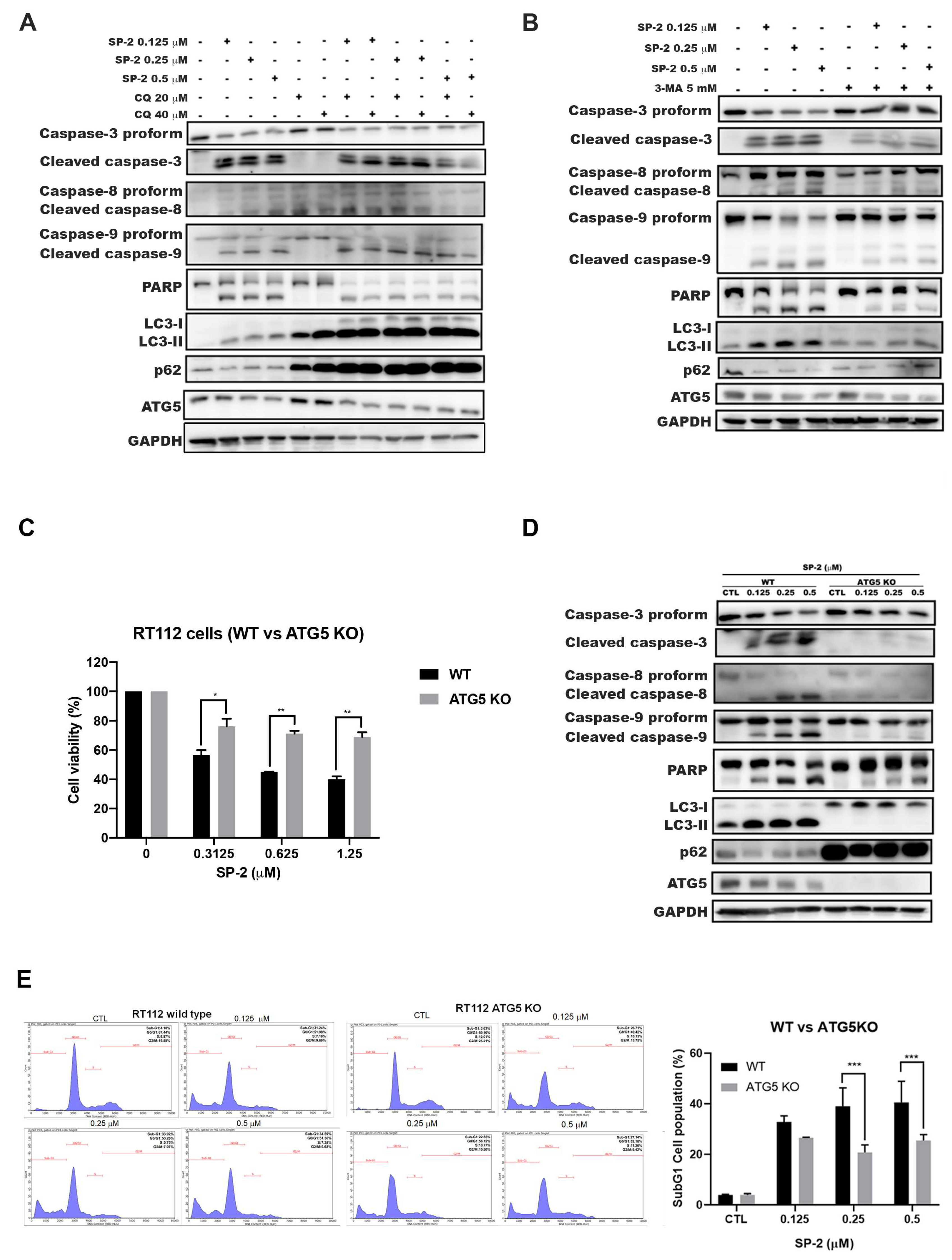 Marinedrugs 21 00073 g005