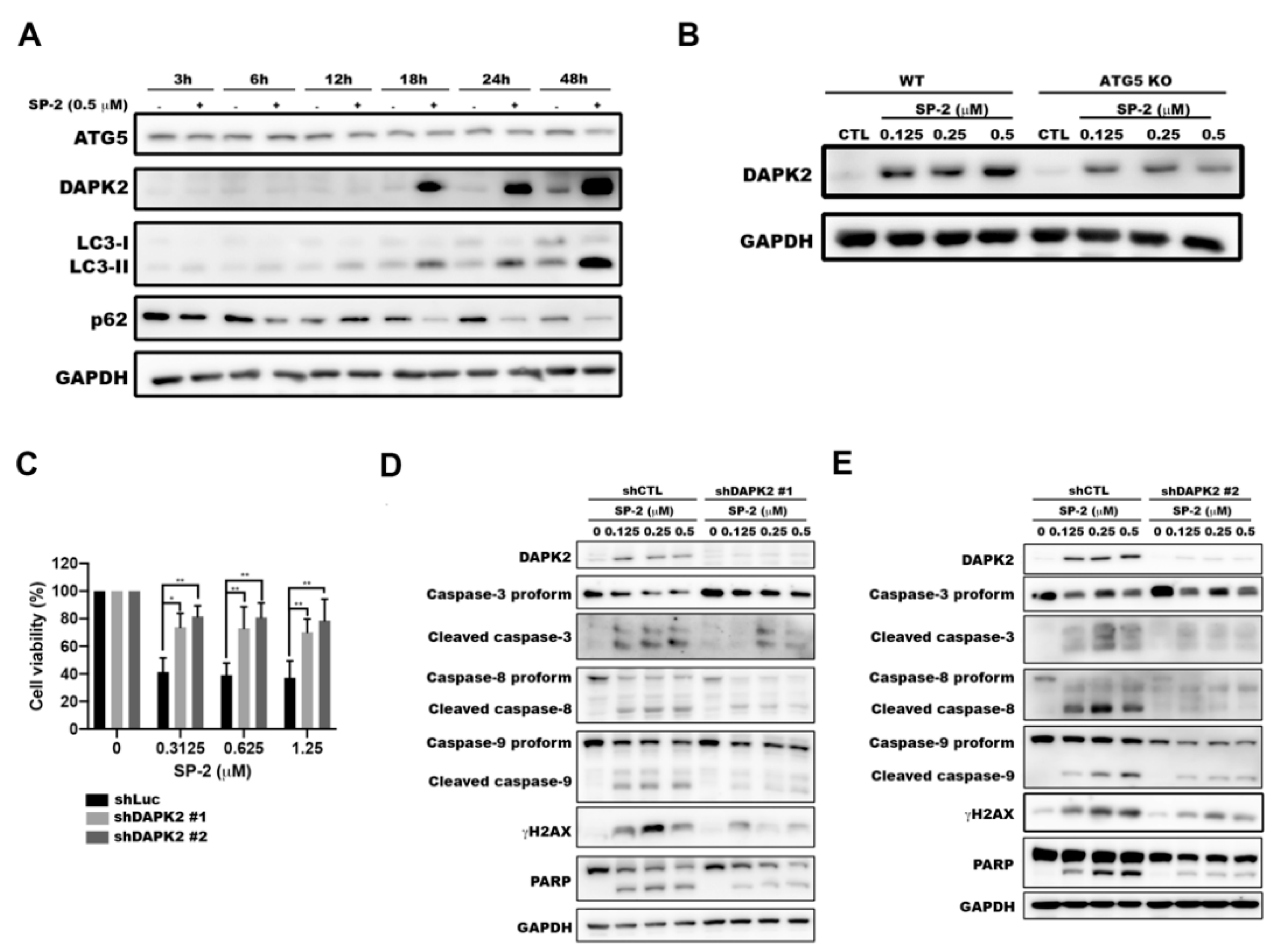 Marinedrugs 21 00073 g006