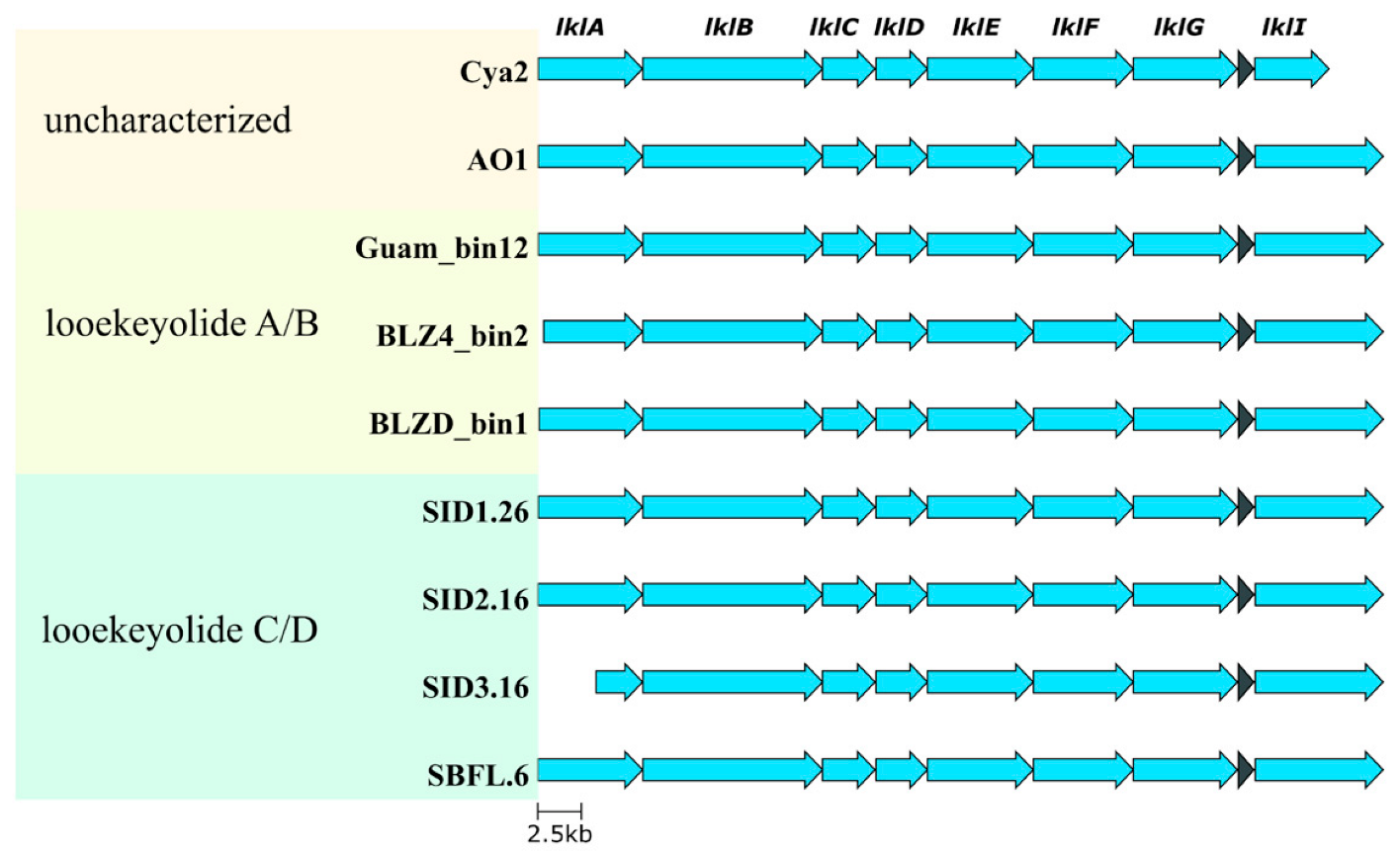 Marinedrugs 21 00076 g005 Marinedrugs 21 00076 g005