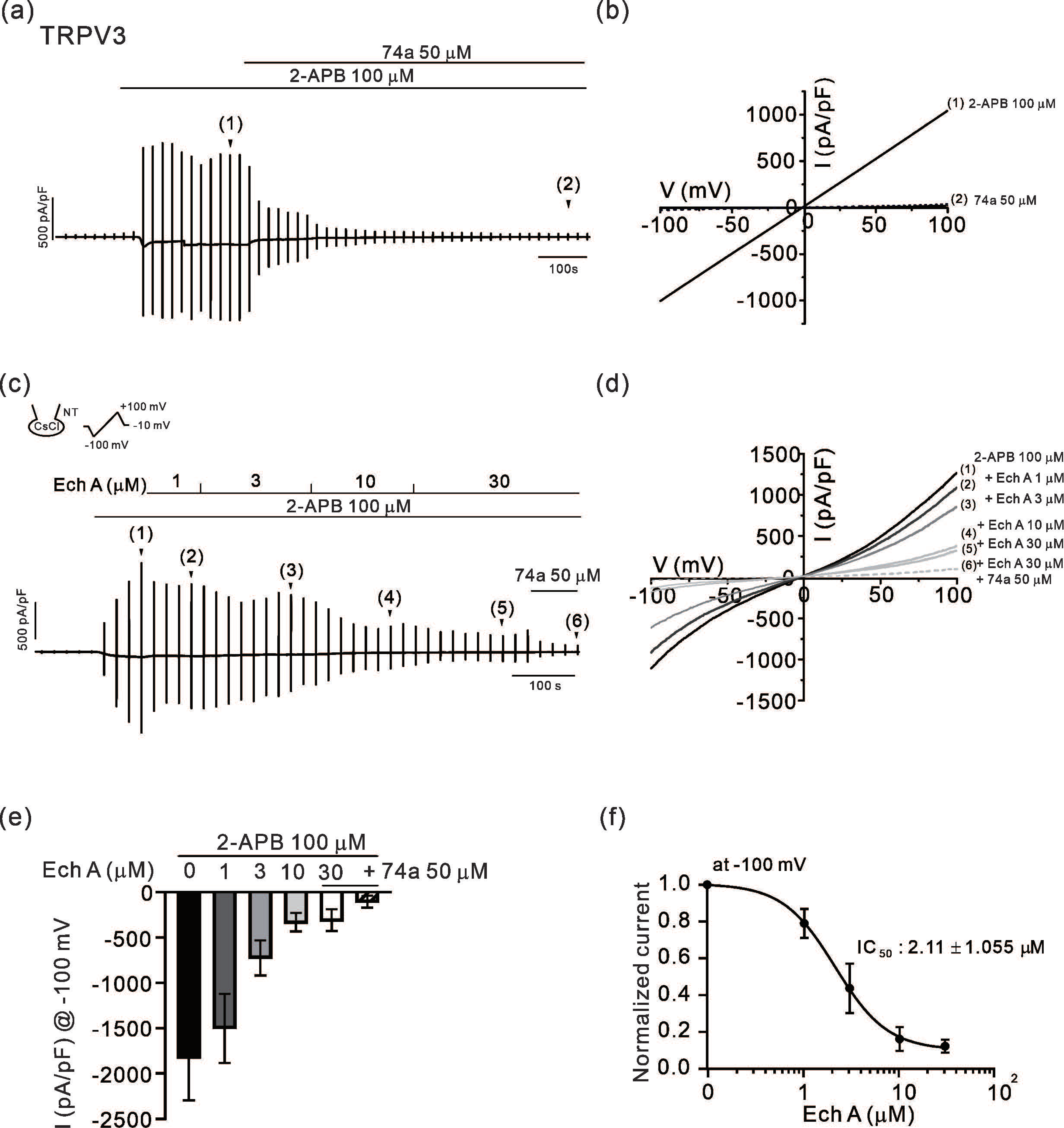 Marinedrugs 21 00078 g001 Marinedrugs 21 00078 g001
