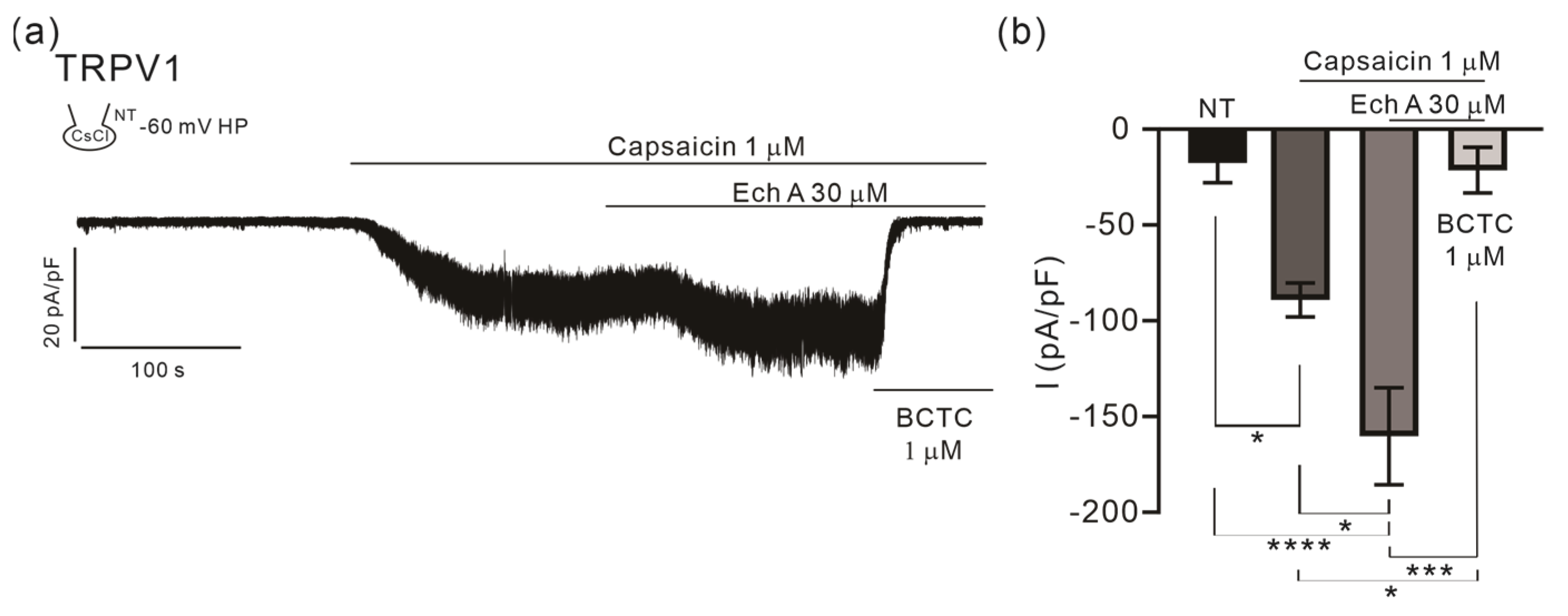 Marinedrugs 21 00078 g003 Marinedrugs 21 00078 g003