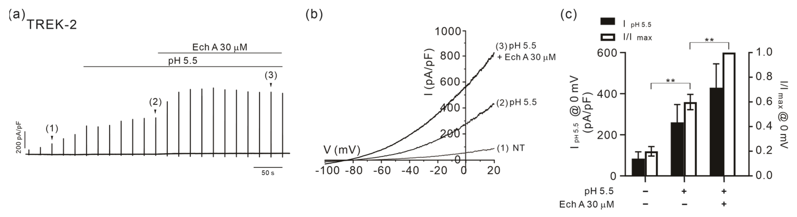 Marinedrugs 21 00078 g006 Marinedrugs 21 00078 g006