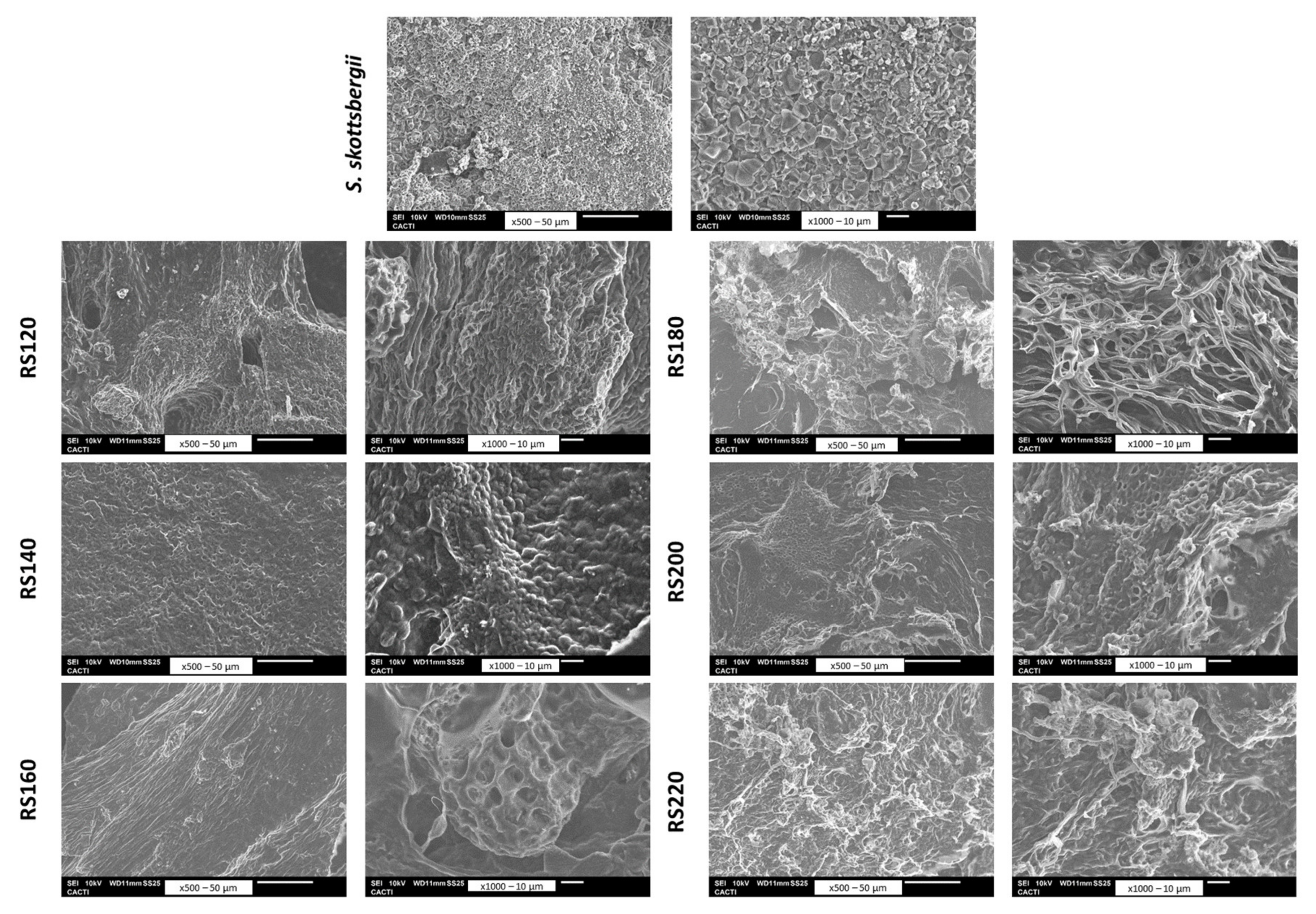 Marinedrugs 21 00083 g008