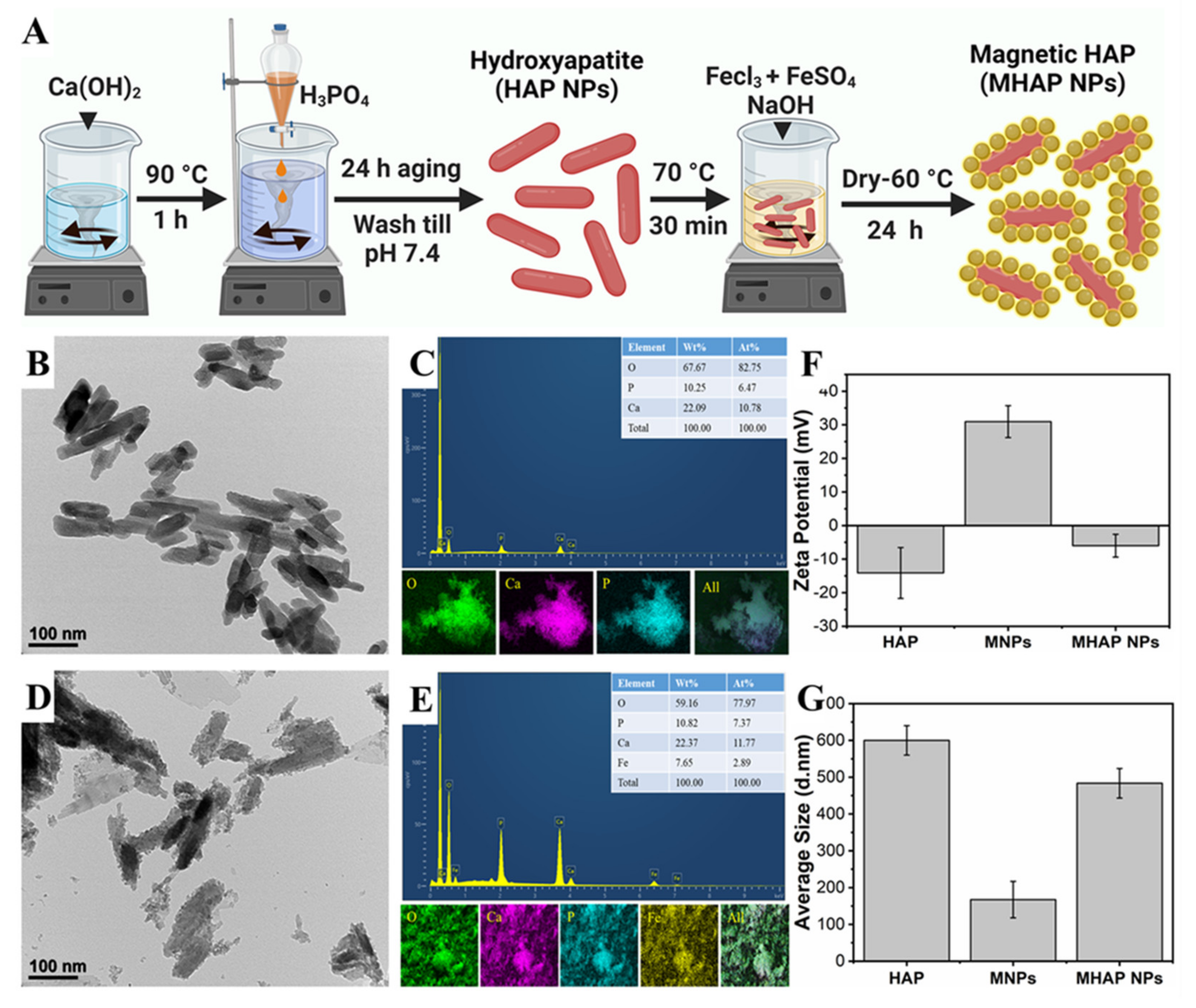 Marinedrugs 21 00085 g001 Marinedrugs 21 00085 g001