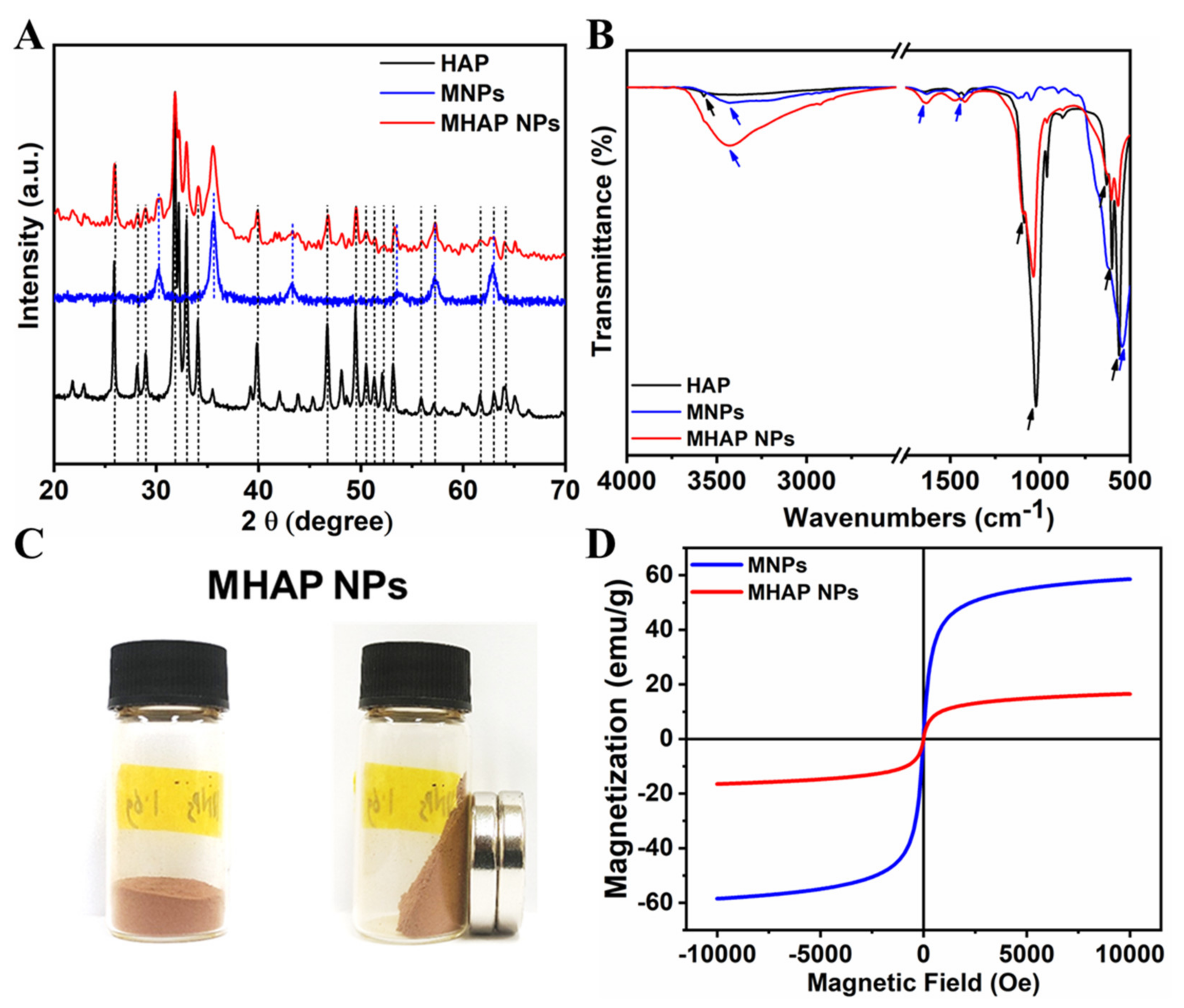 Marinedrugs 21 00085 g002 Marinedrugs 21 00085 g002