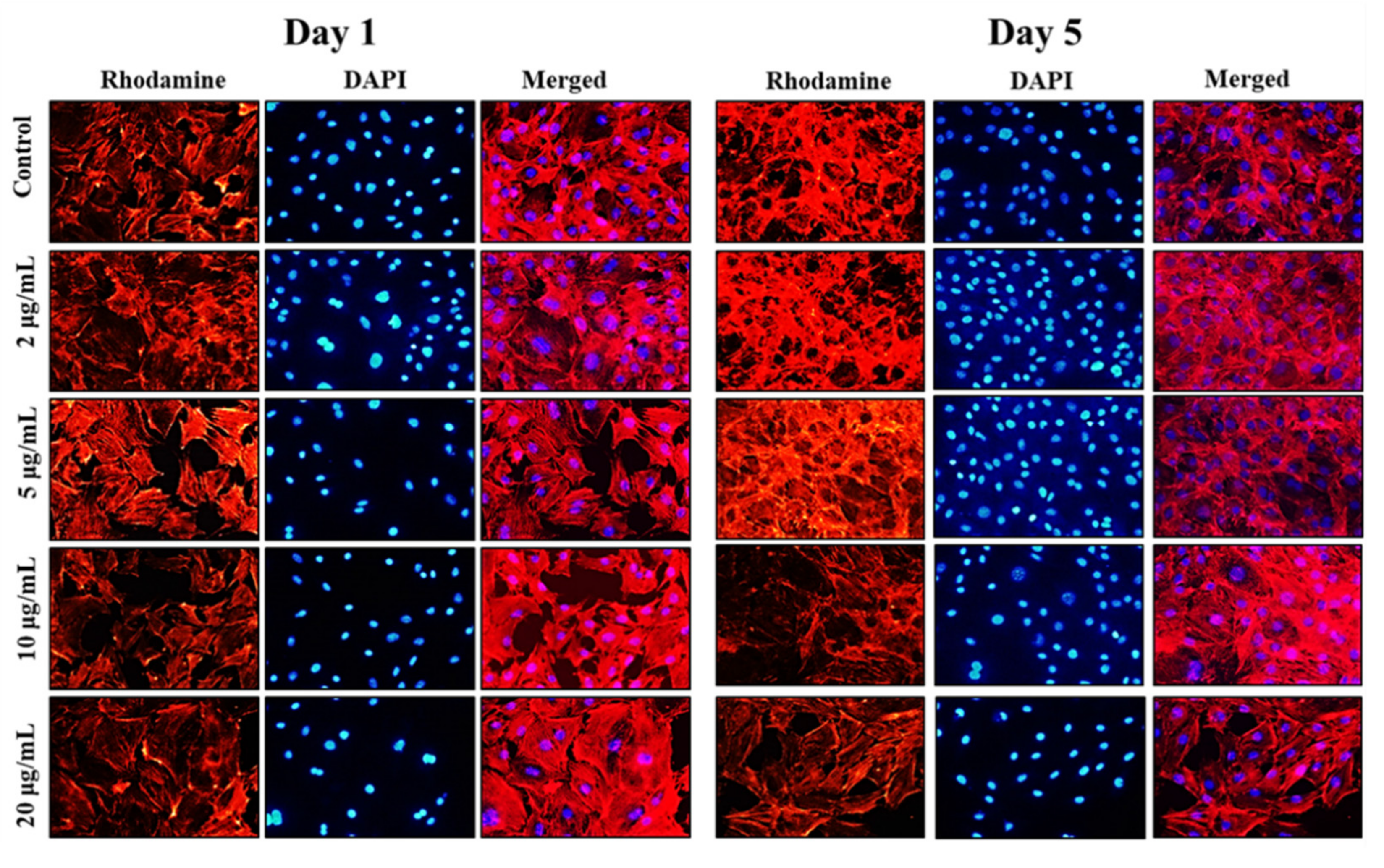 Marinedrugs 21 00085 g004 Marinedrugs 21 00085 g004