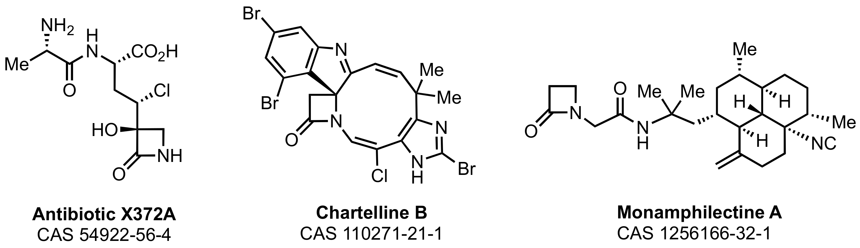 Marinedrugs 21 00086 g004 Marinedrugs 21 00086 g004