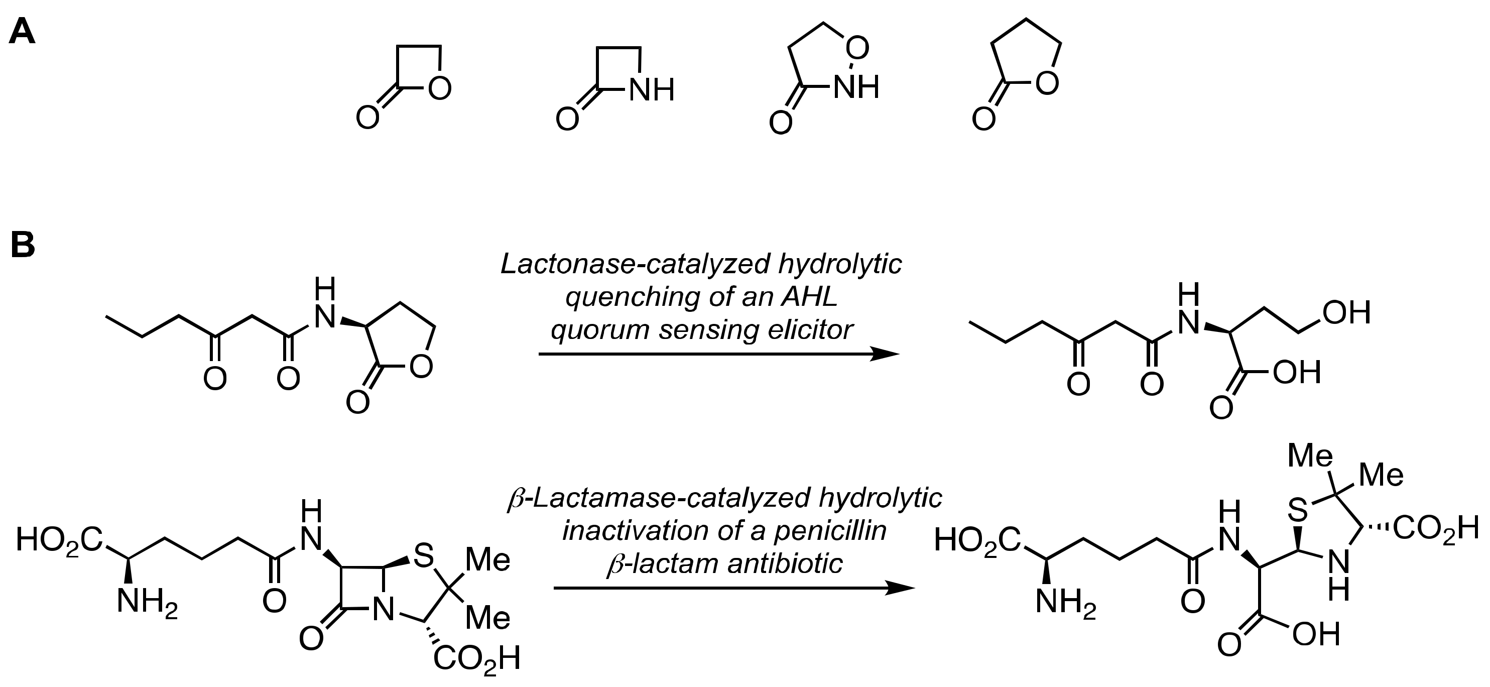 Marinedrugs 21 00086 g005 Marinedrugs 21 00086 g005