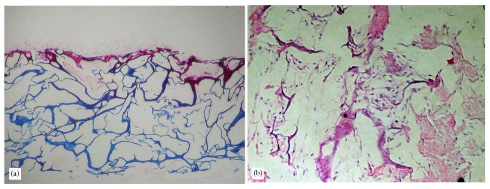 Marinedrugs 21 00087 g009 Marinedrugs 21 00087 g009