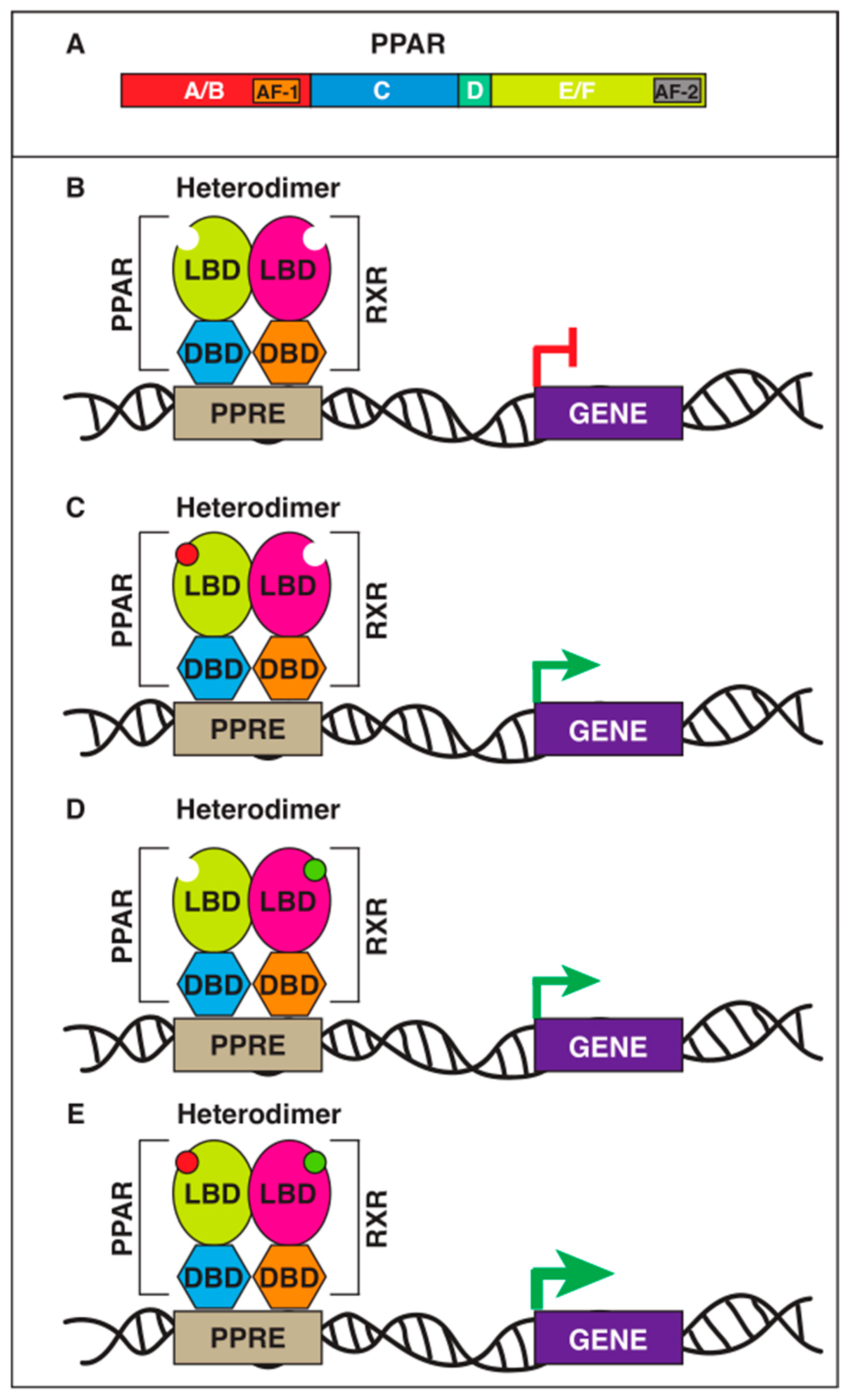 Marinedrugs 21 00089 g001 Marinedrugs 21 00089 g001