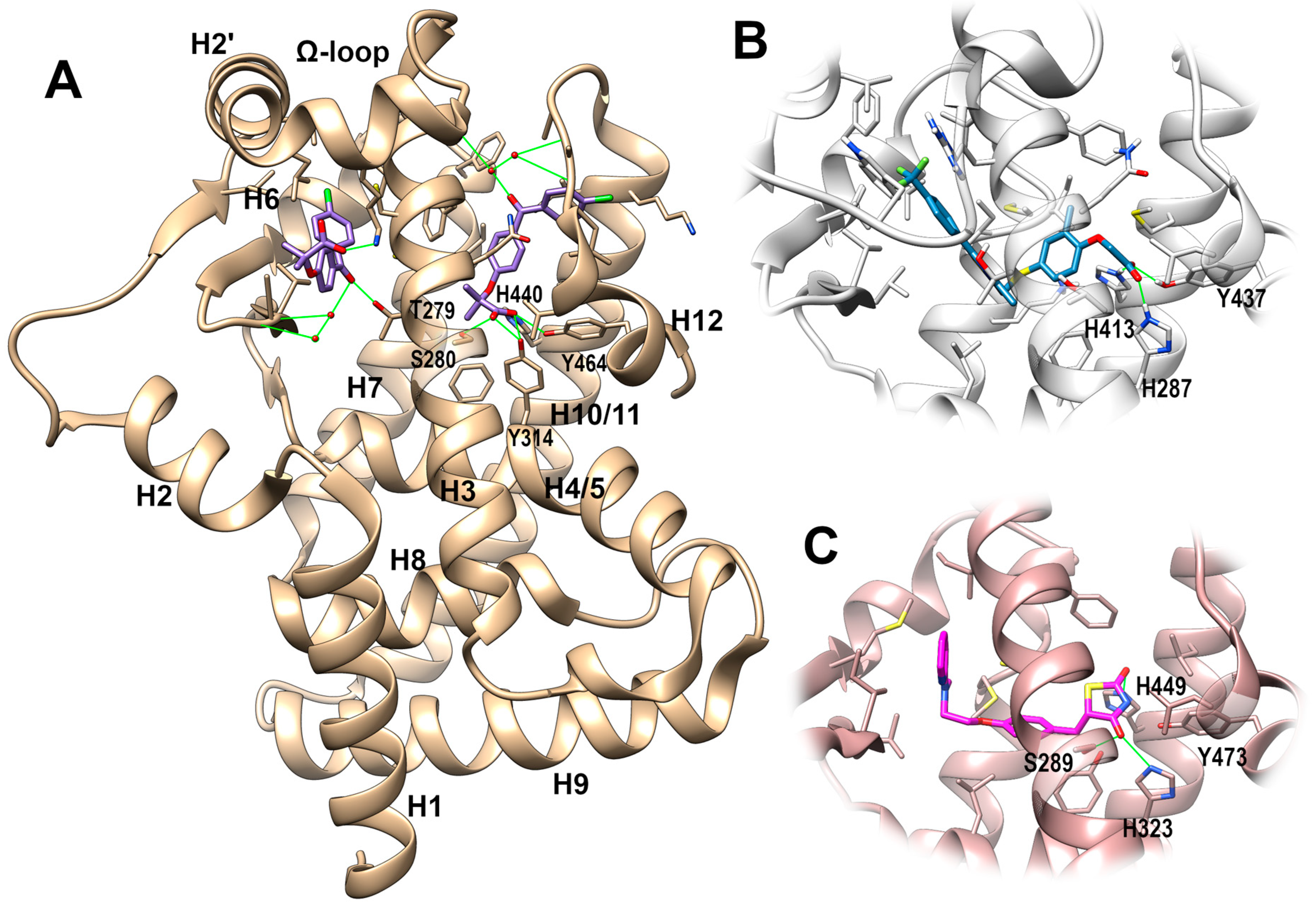 Marinedrugs 21 00089 g002 Marinedrugs 21 00089 g002