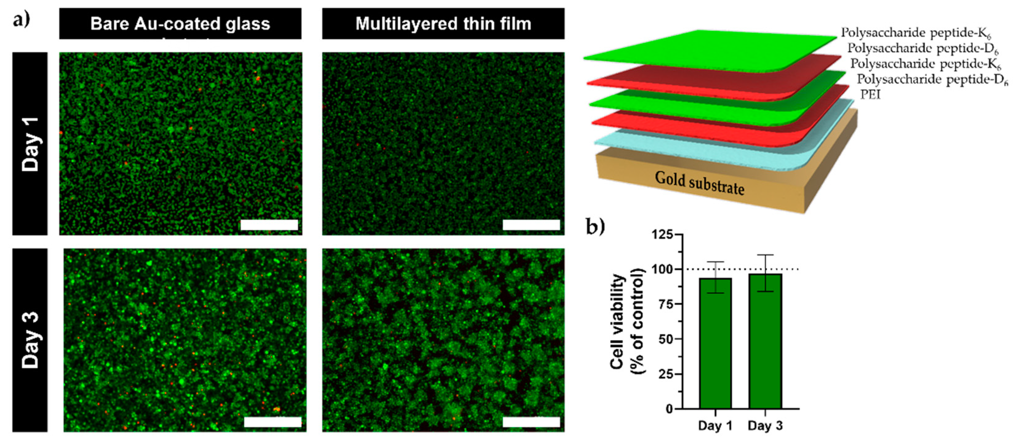 Marinedrugs 21 00092 g008