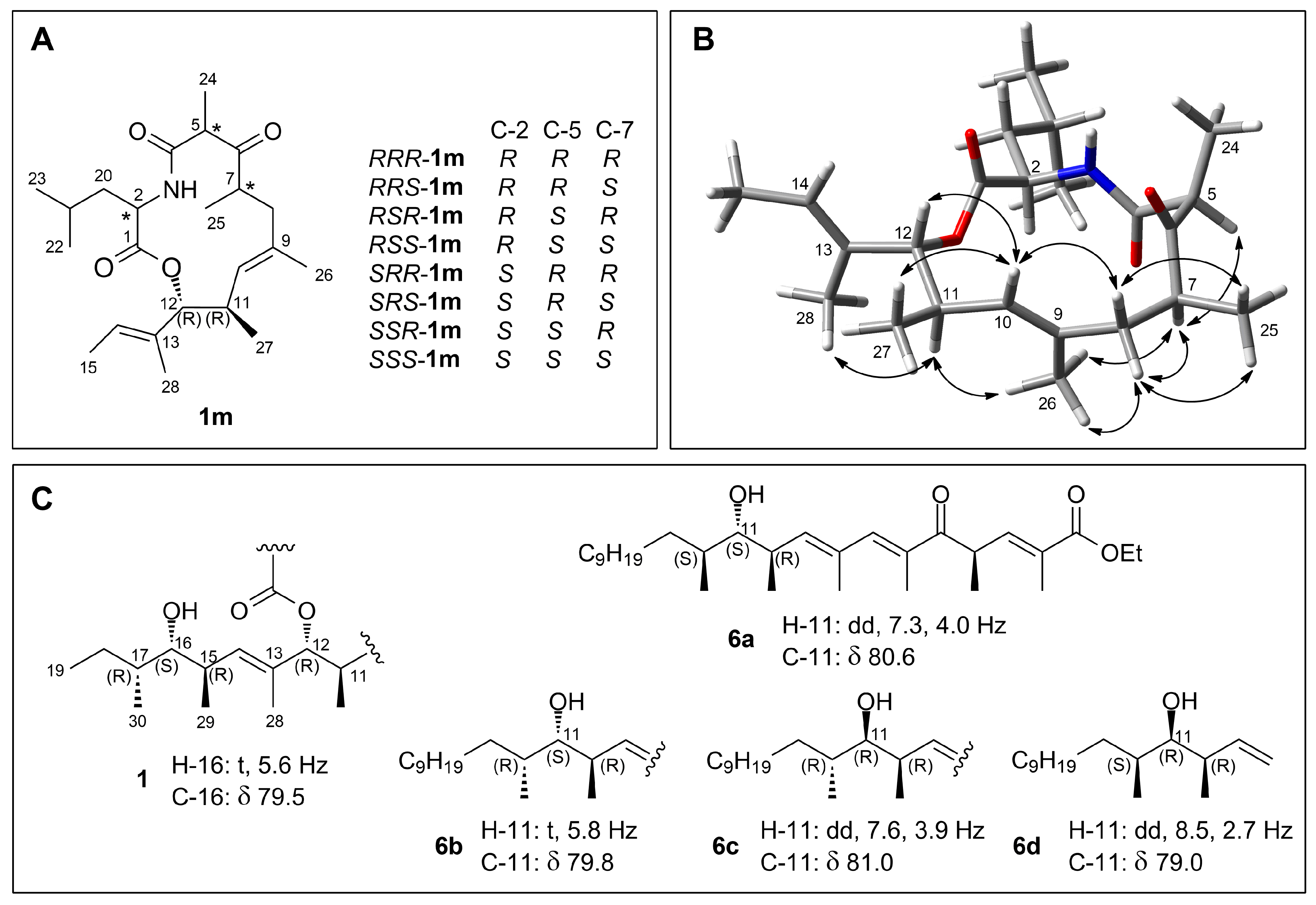 Marinedrugs 21 00095 g005 Marinedrugs 21 00095 g005