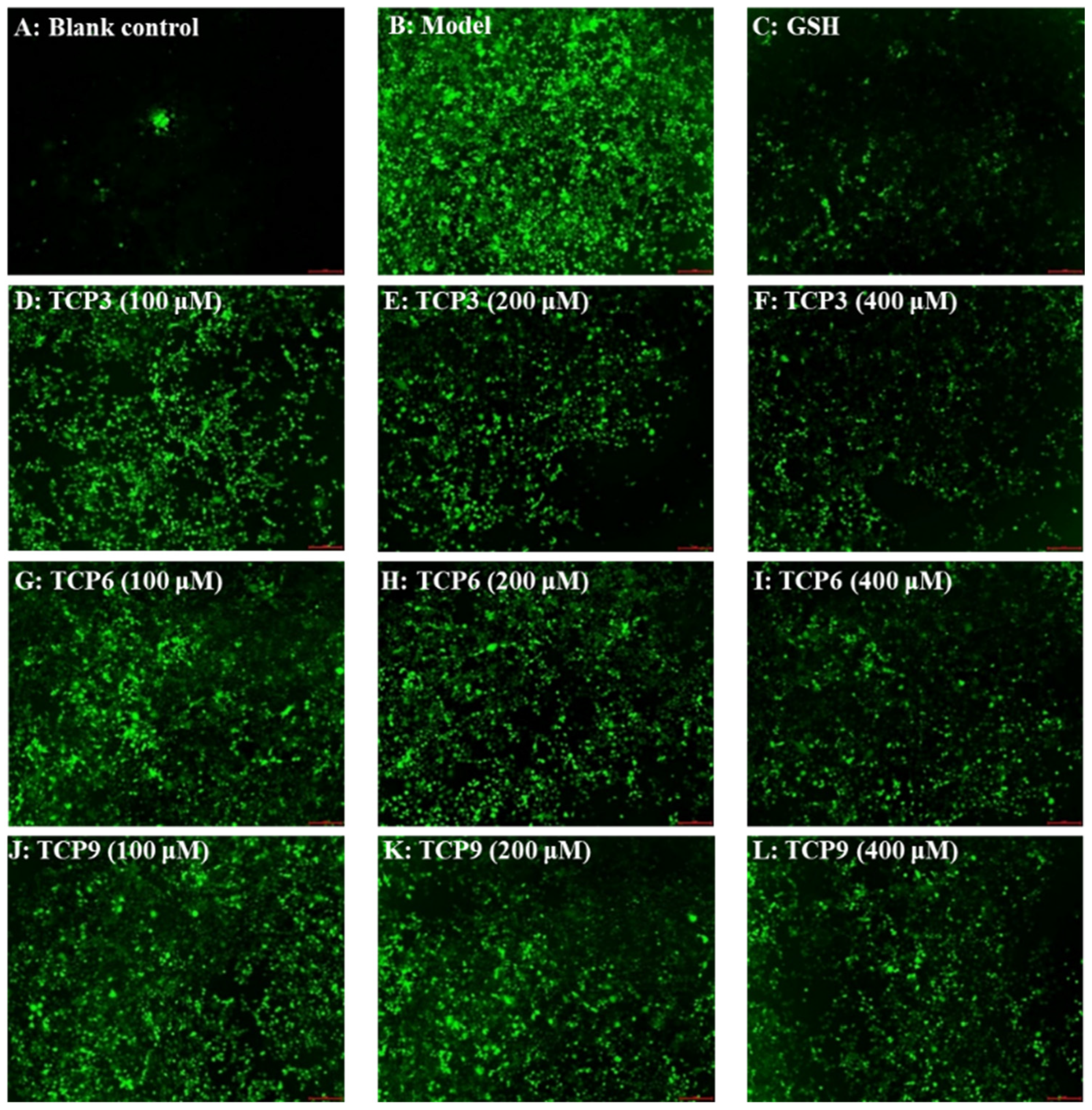 Marinedrugs 21 00105 g005 550