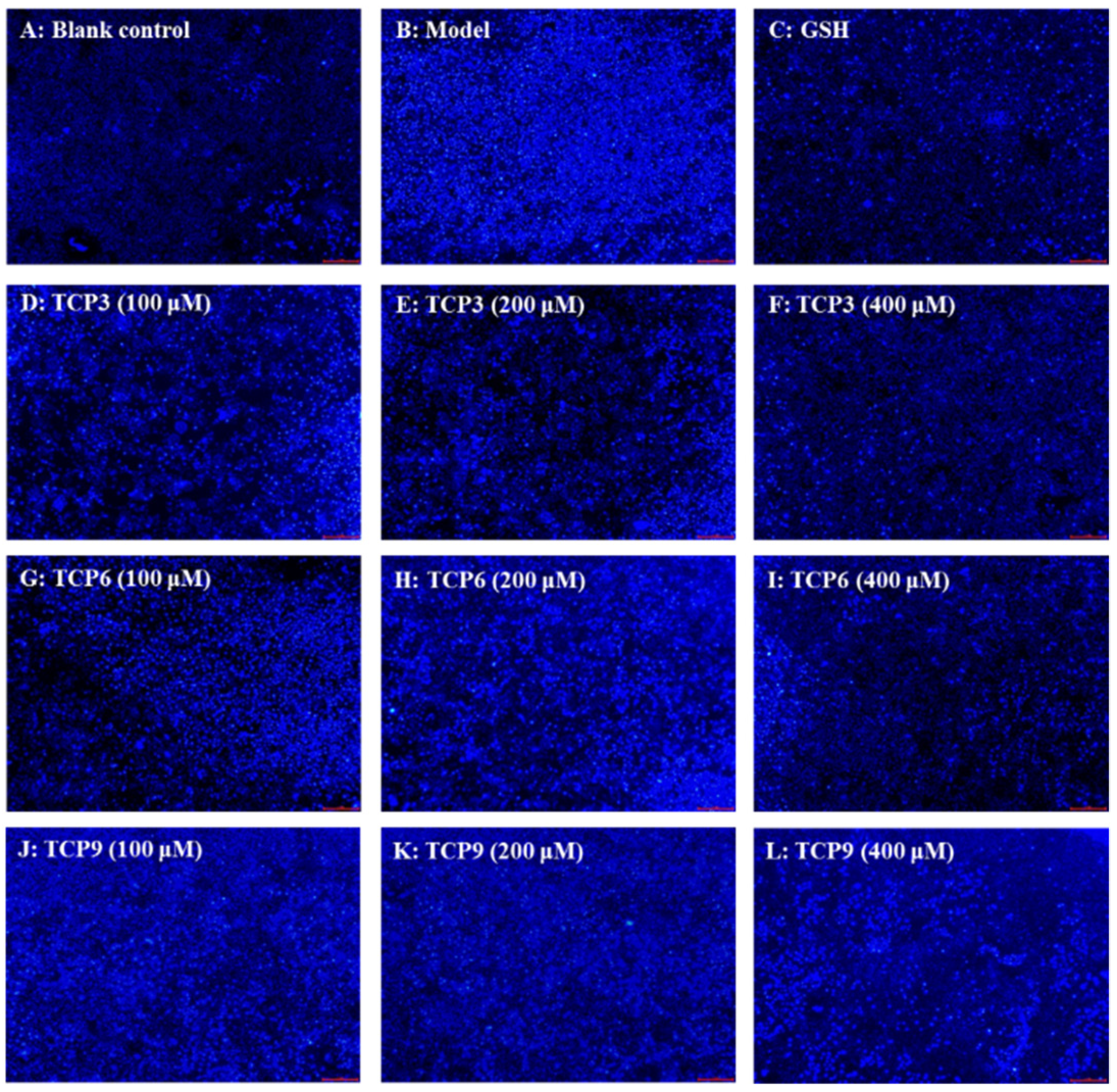 Marinedrugs 21 00105 g008 550