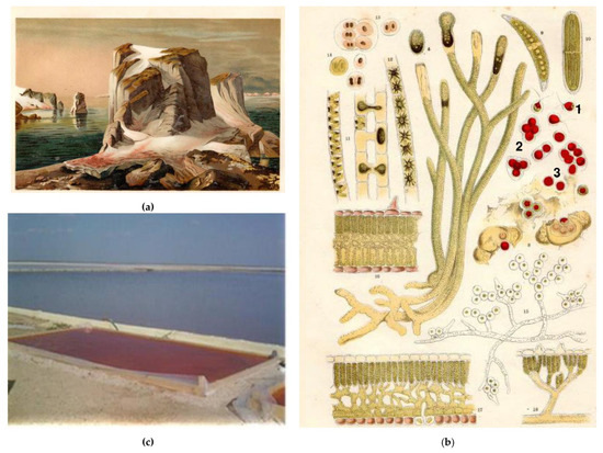 CM品 New Balance】 CM996から限定のGORE-TEXが登場 | CIENTO BLOG