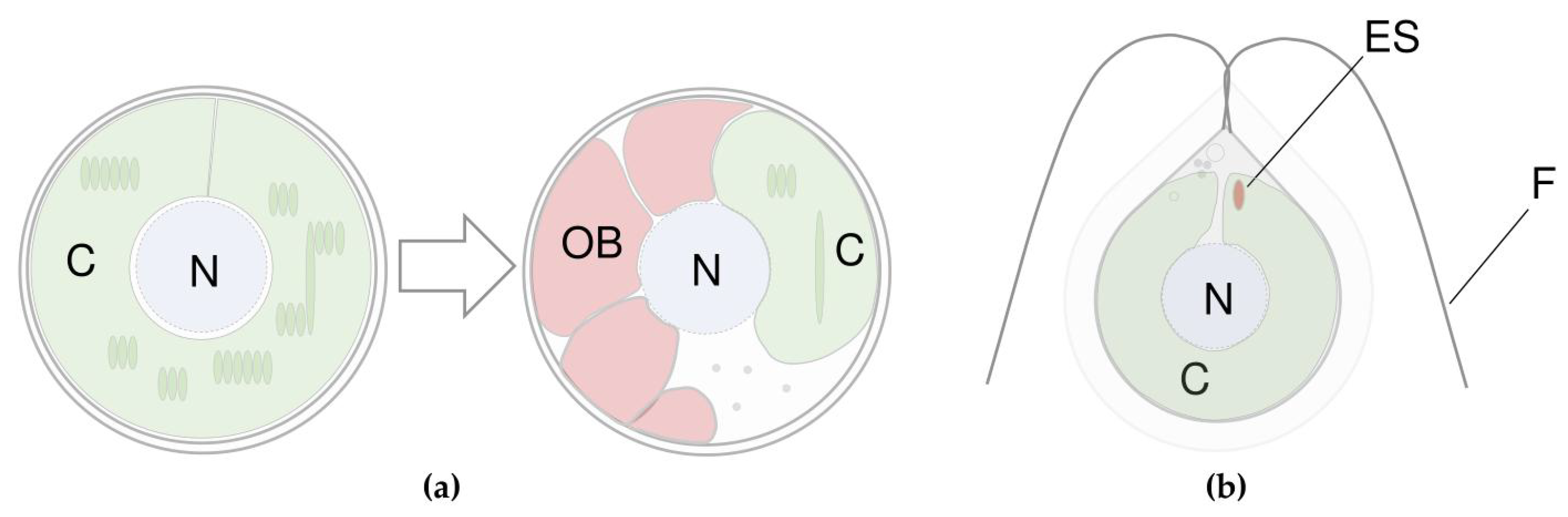 Marinedrugs 21 00108 g002 Marinedrugs 21 00108 g002