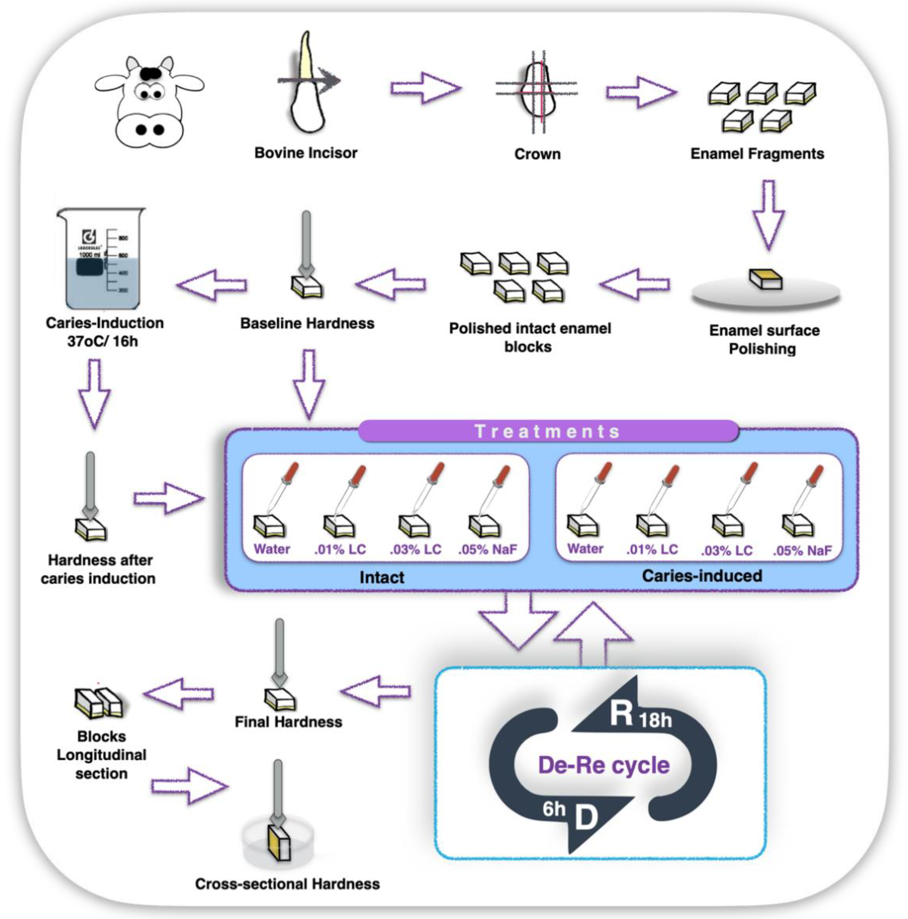 Marinedrugs 21 00109 g003