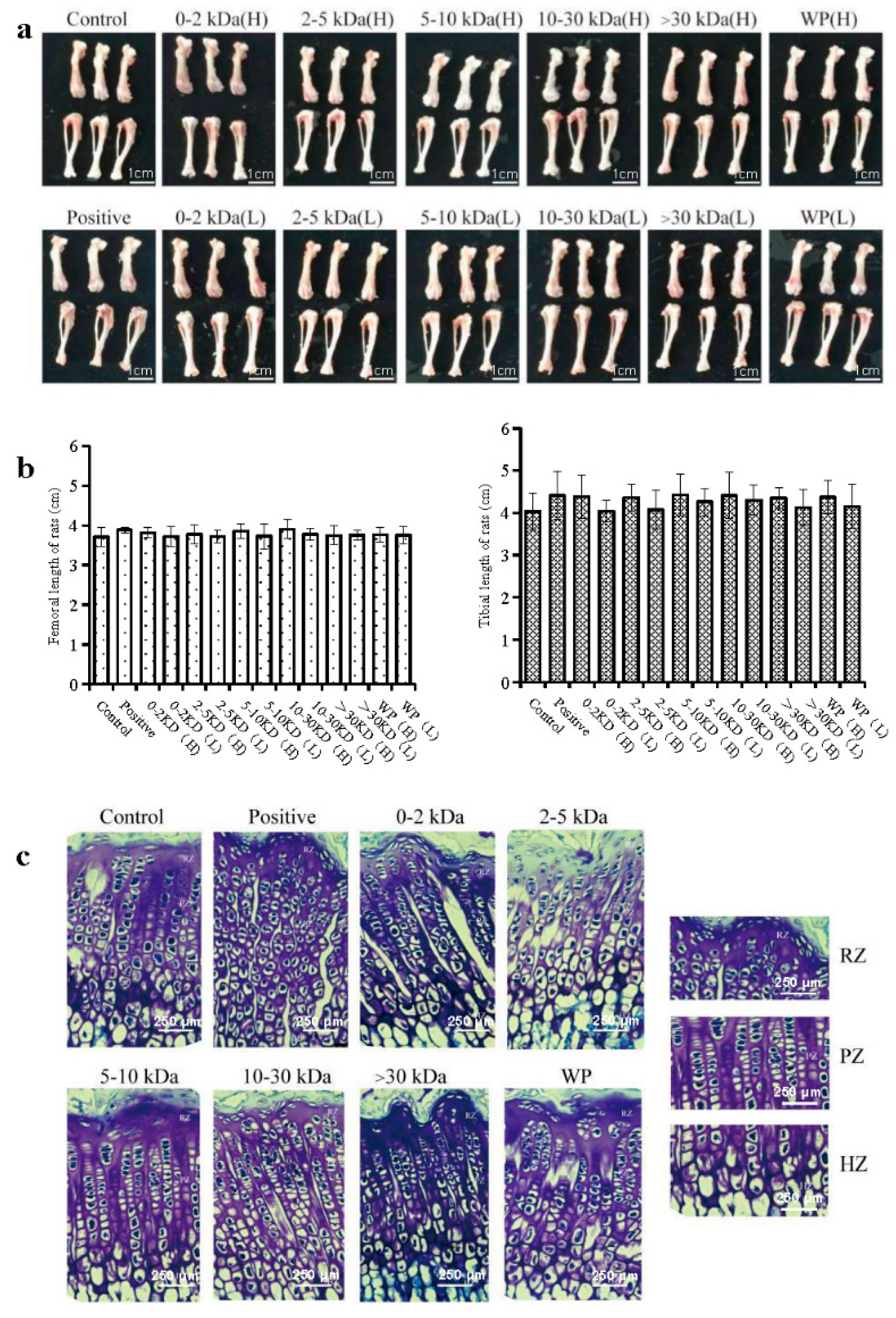 Marinedrugs 21 00111 g002 550