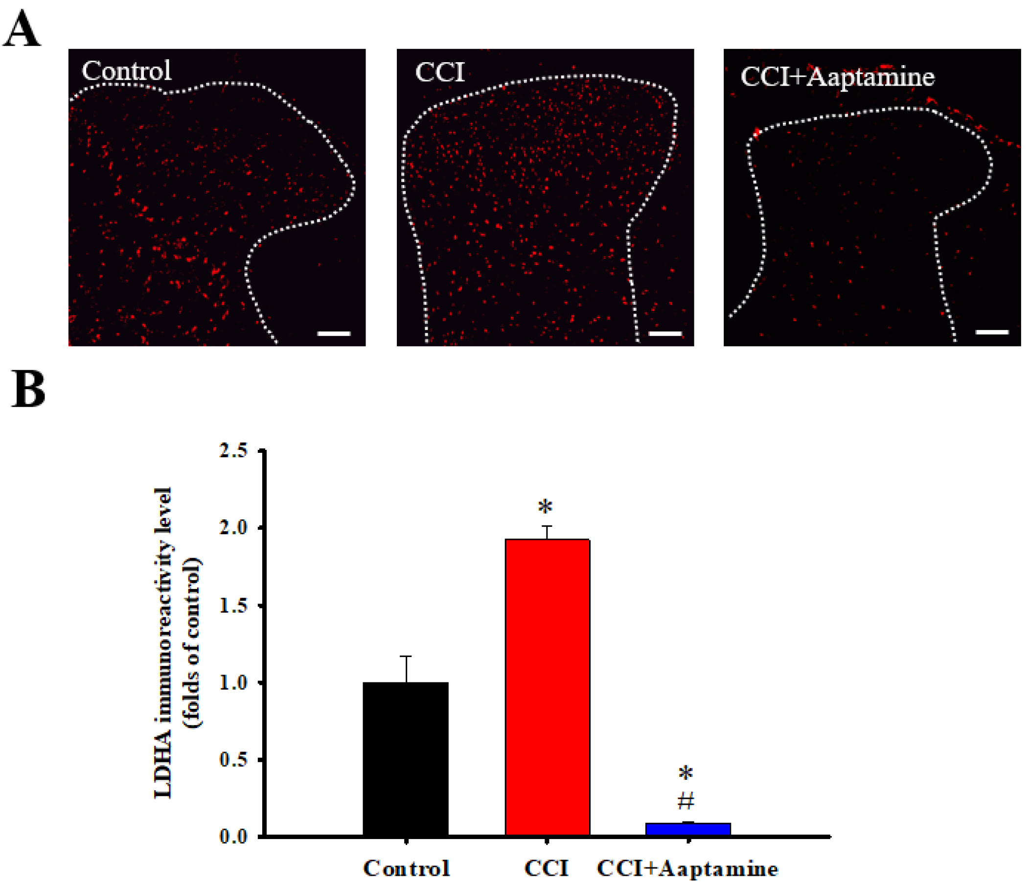 Marinedrugs 21 00113 g006 Marinedrugs 21 00113 g006