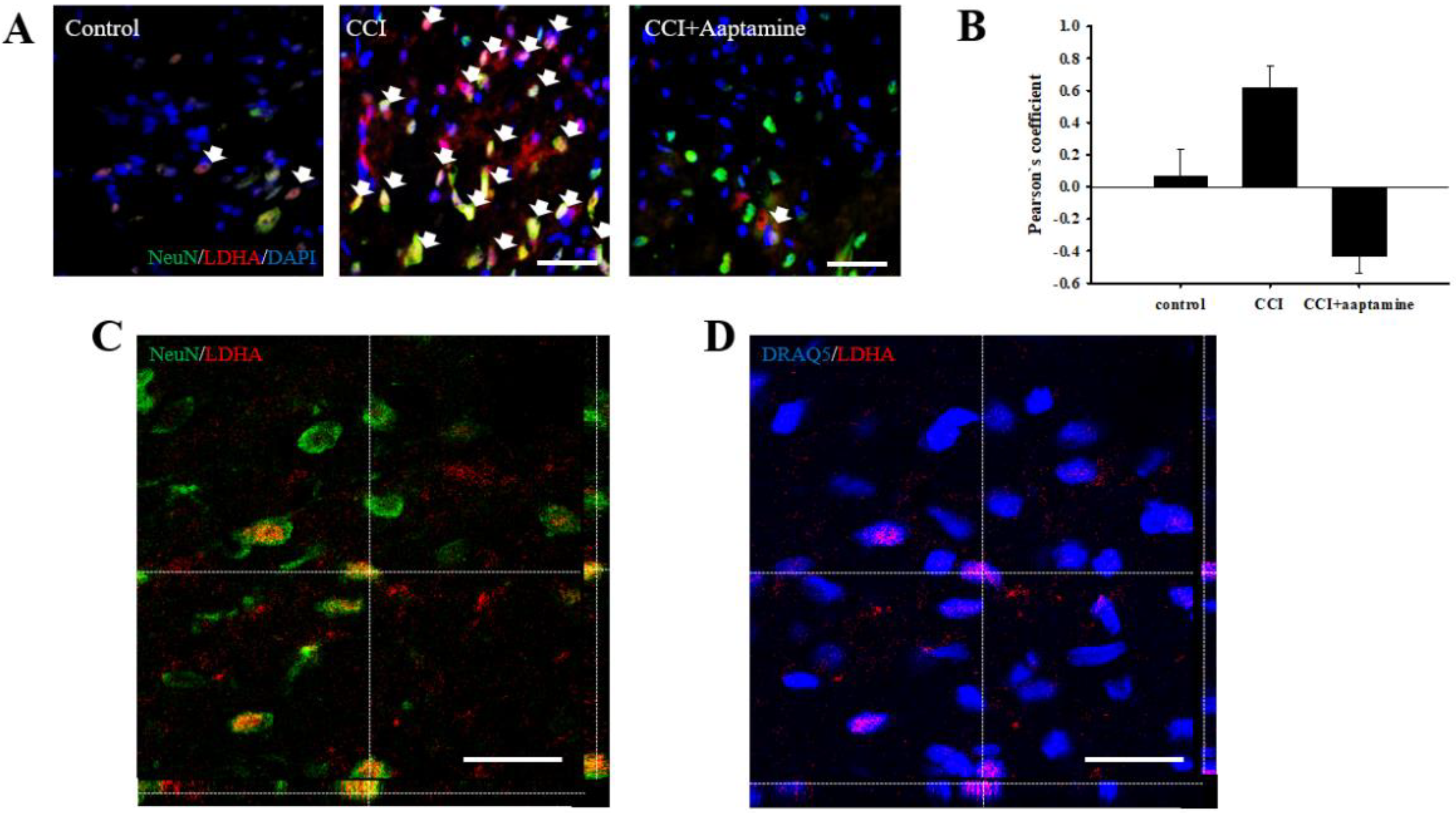 Marinedrugs 21 00113 g008 Marinedrugs 21 00113 g008