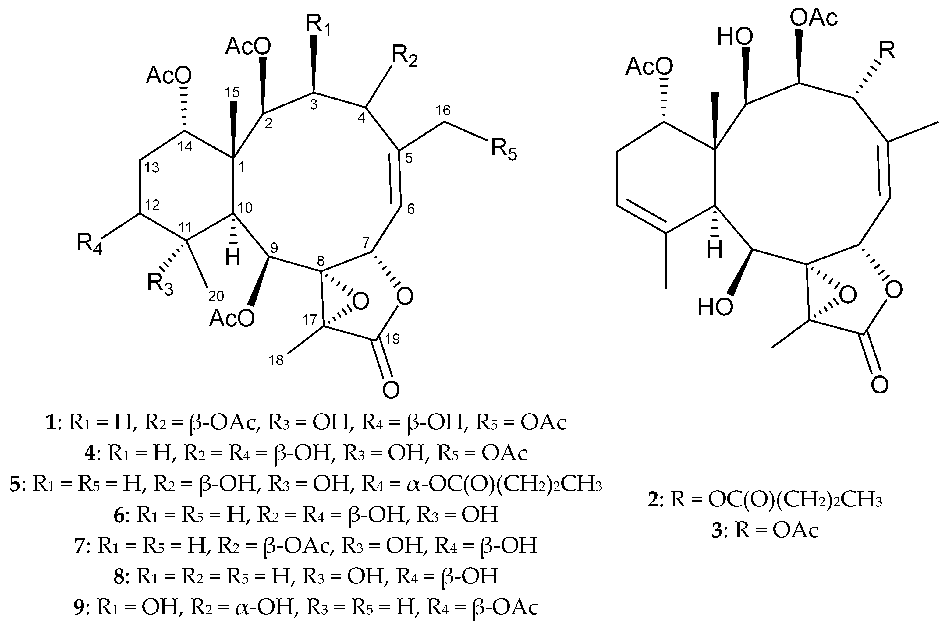 Marinedrugs 21 00124 g001