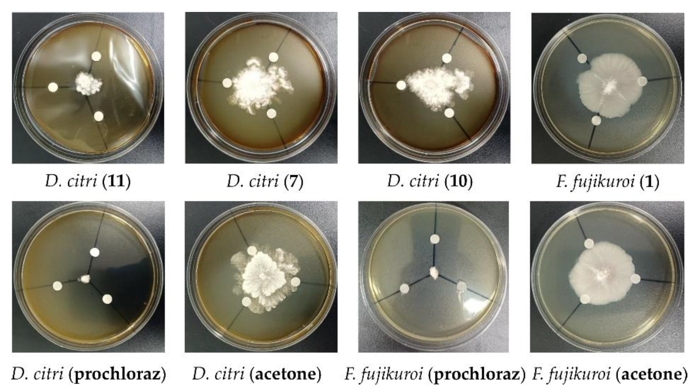 Marinedrugs 21 00127 g008 Marinedrugs 21 00127 g008