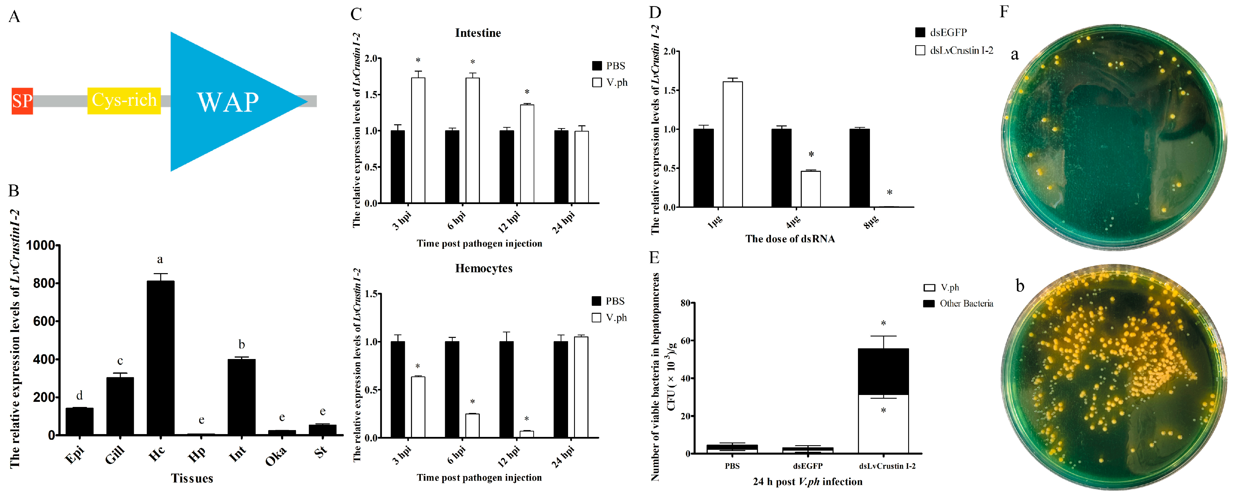Marinedrugs 21 00130 g001 Marinedrugs 21 00130 g001