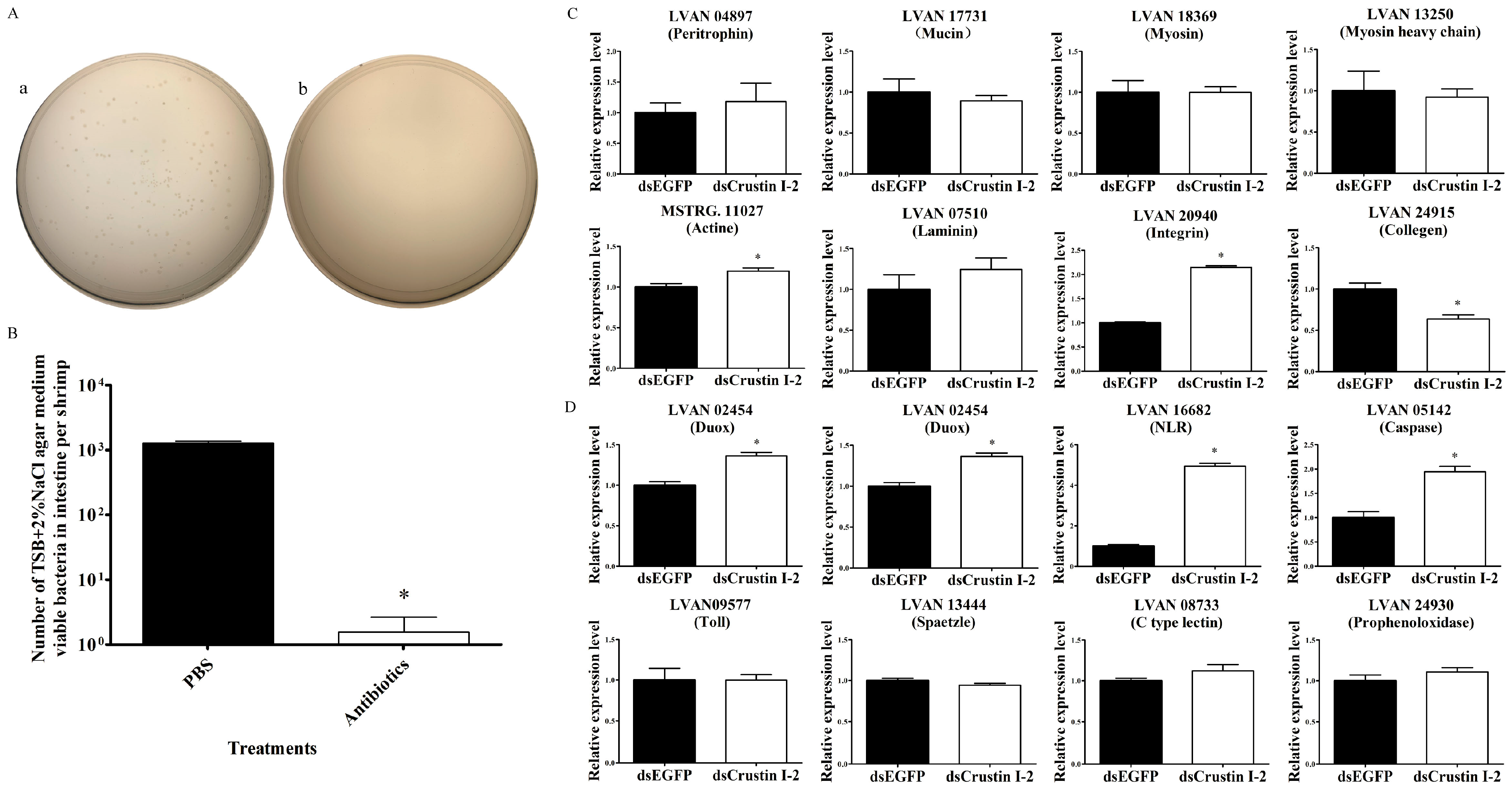 Marinedrugs 21 00130 g004 Marinedrugs 21 00130 g004