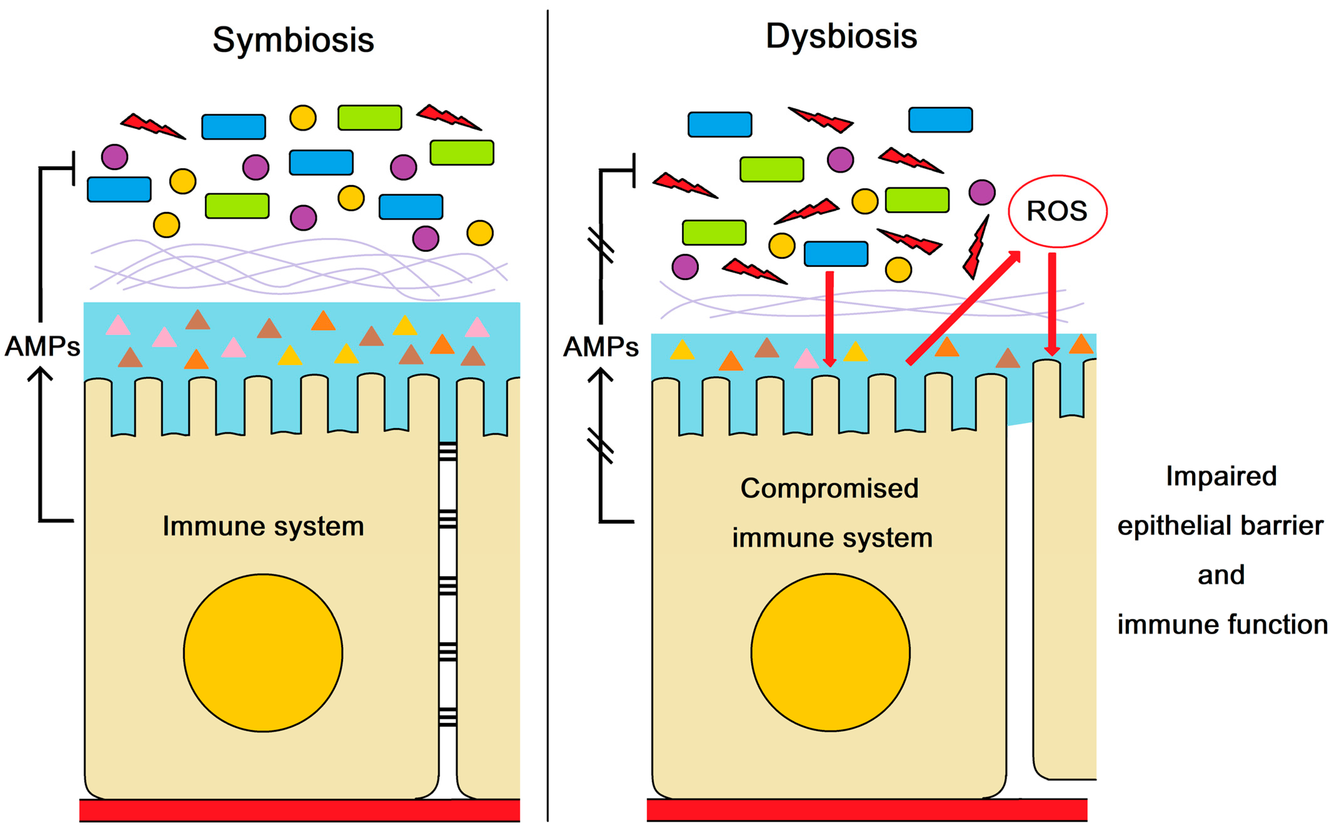 Marinedrugs 21 00130 g005 Marinedrugs 21 00130 g005