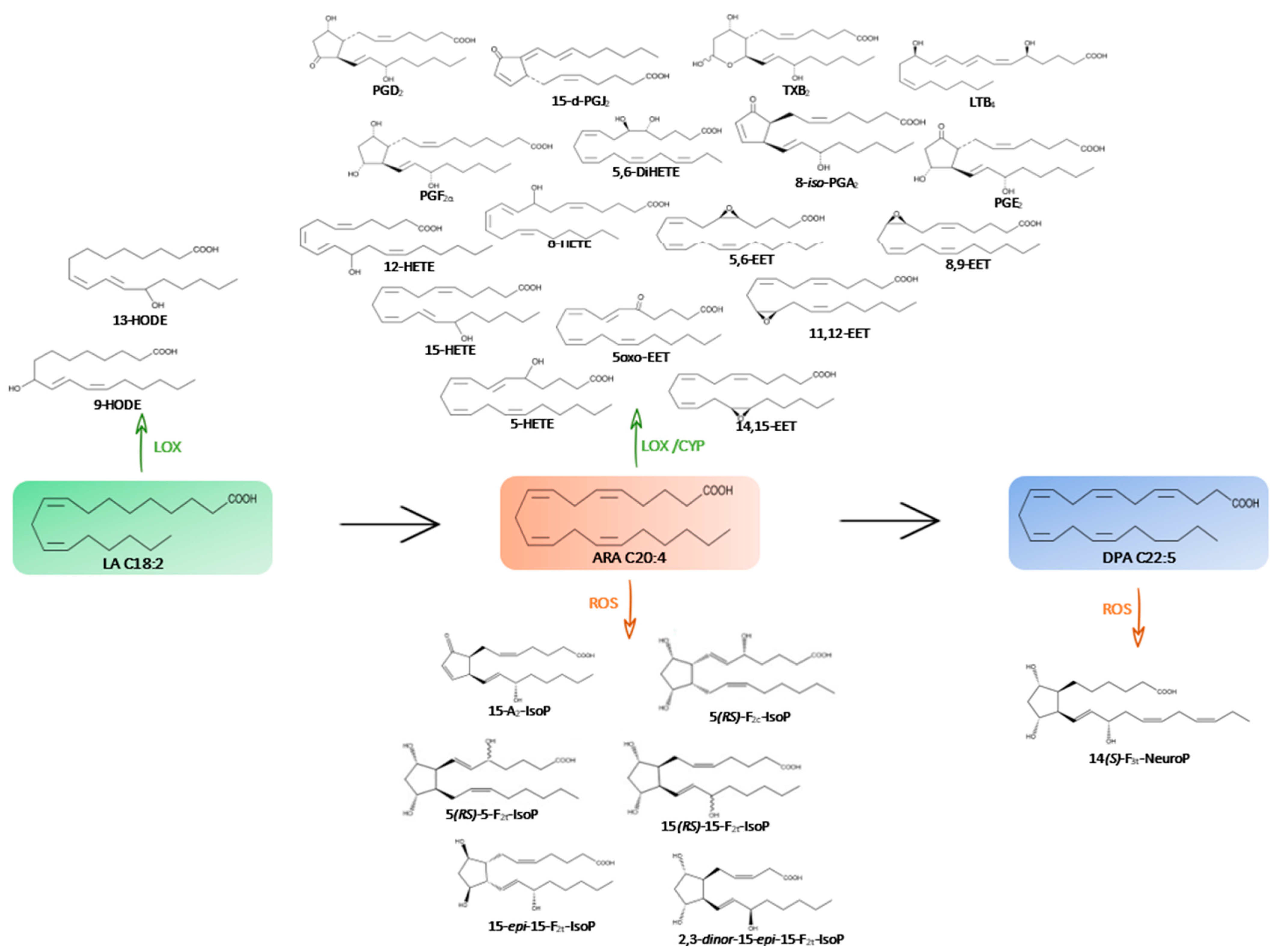 Marinedrugs 21 00136 g001 Marinedrugs 21 00136 g001