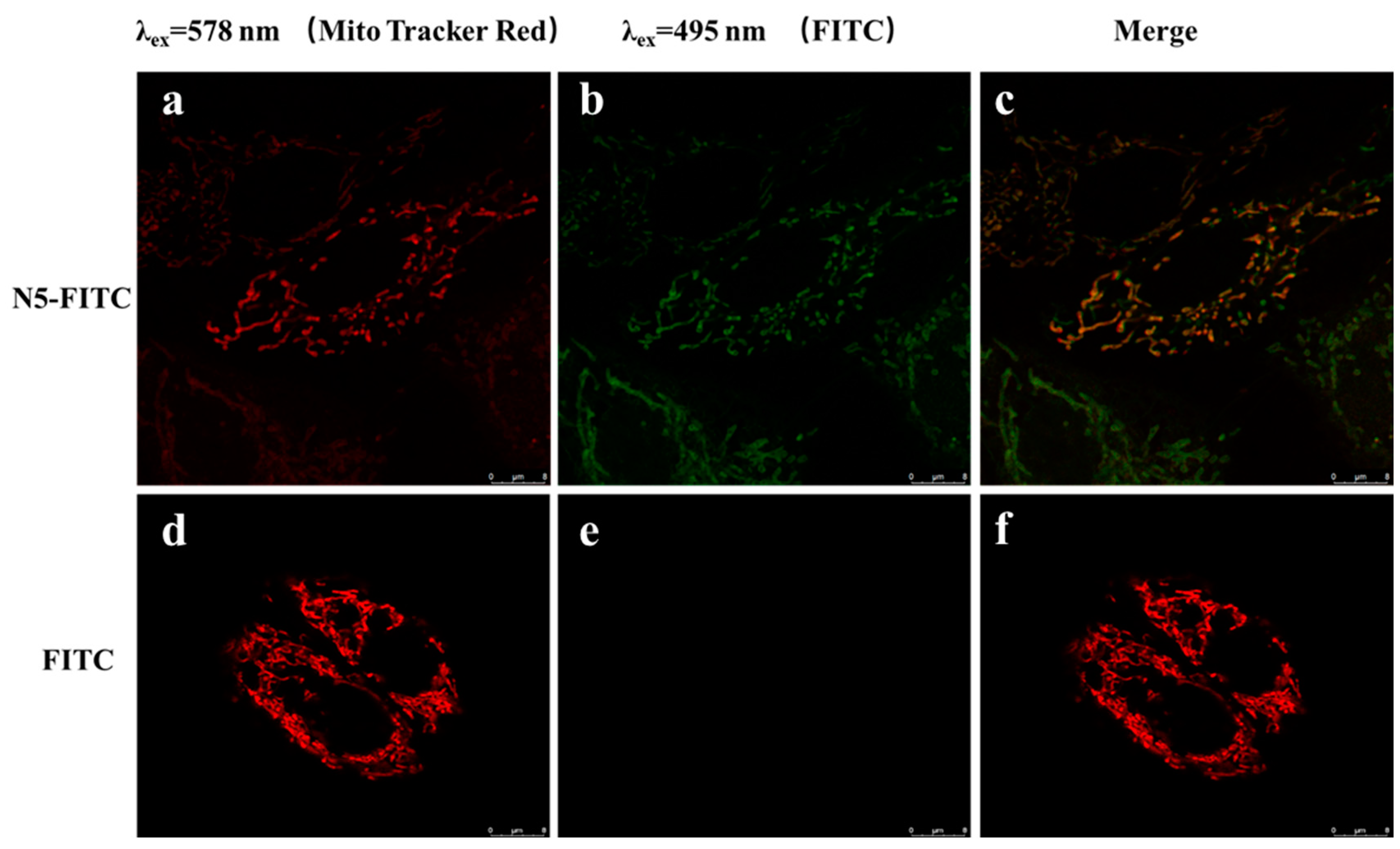 Marinedrugs 21 00137 g005 Marinedrugs 21 00137 g005