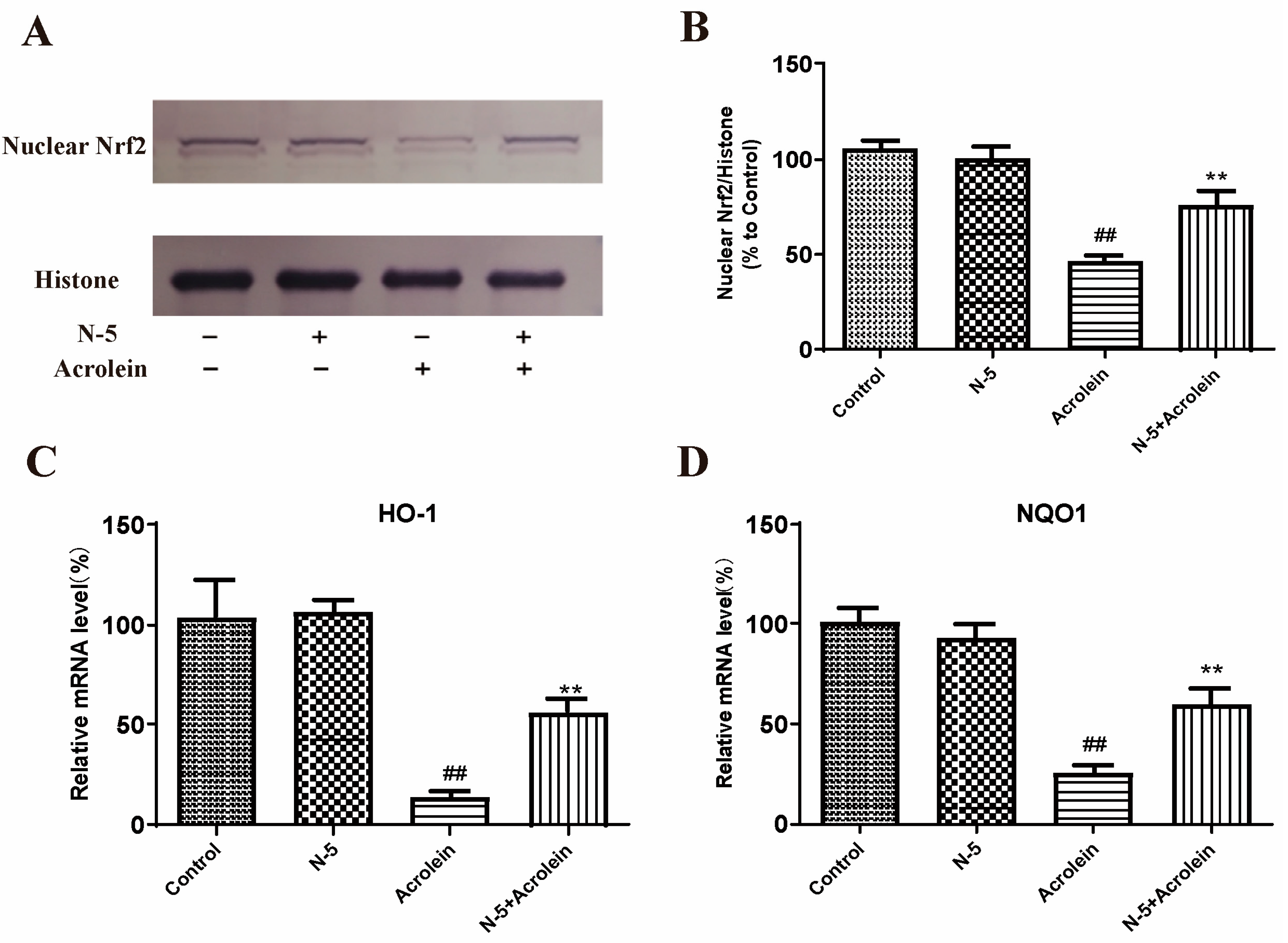 Marinedrugs 21 00137 g006 Marinedrugs 21 00137 g006
