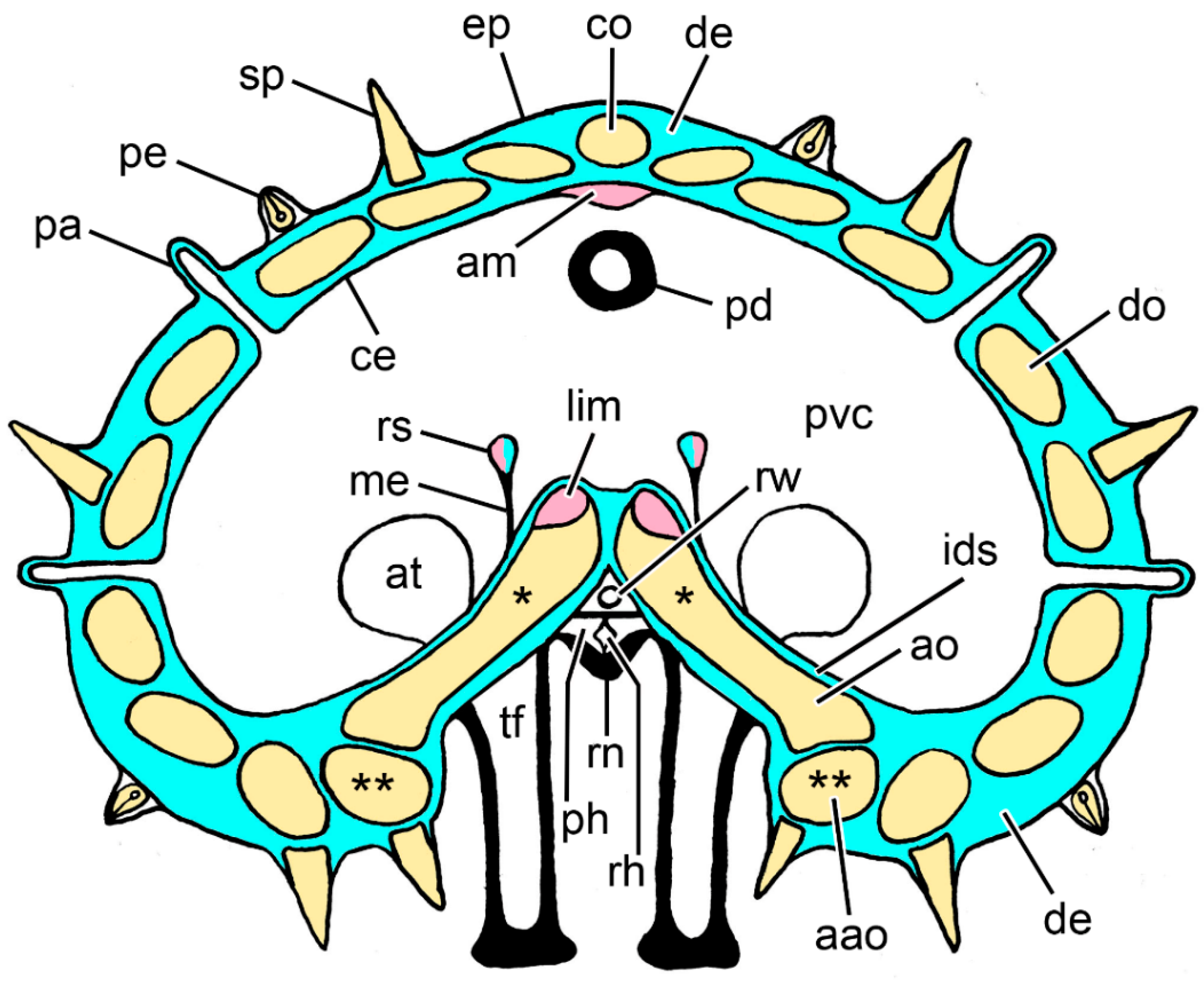 Marinedrugs 21 00138 g002 Marinedrugs 21 00138 g002