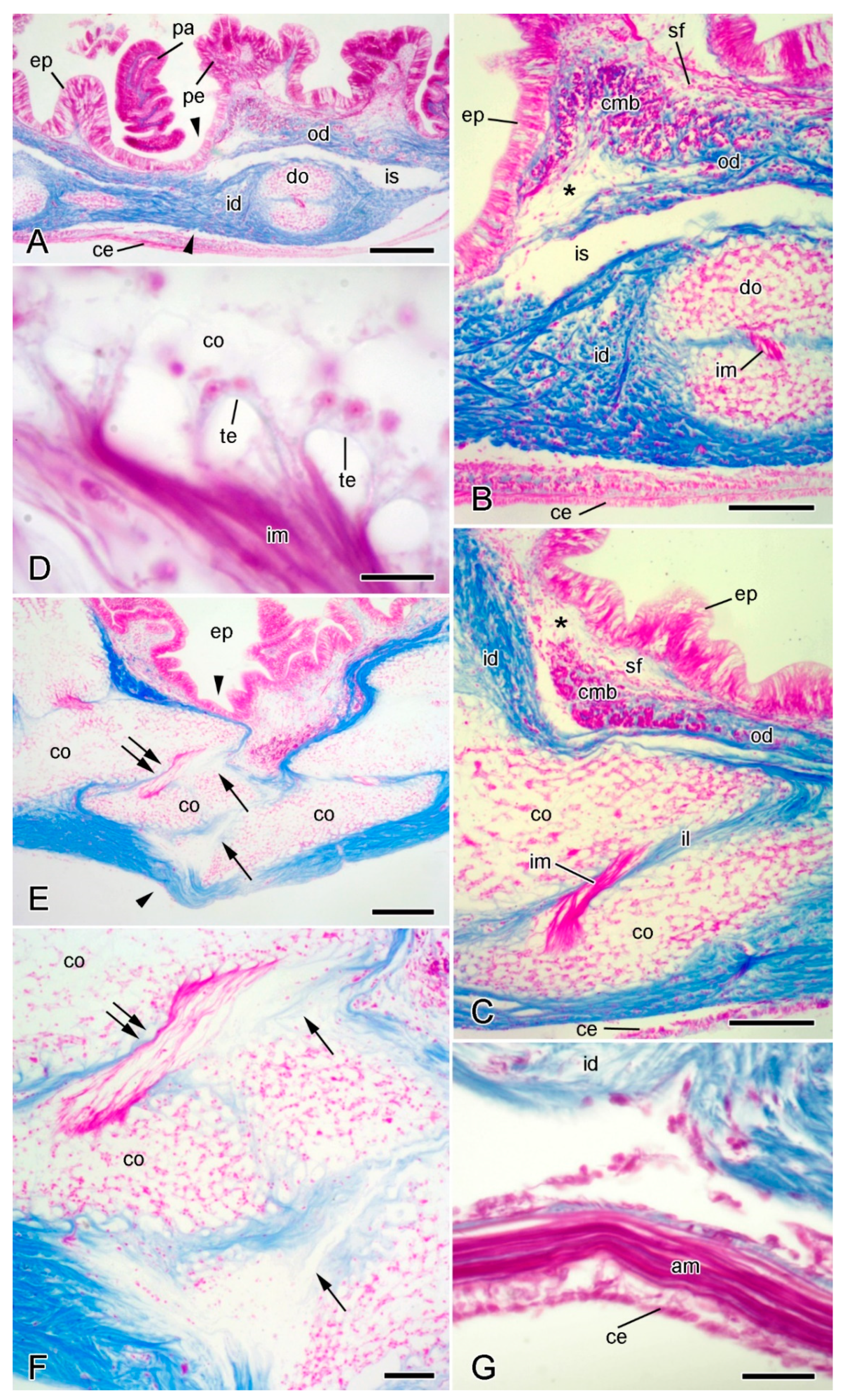 Marinedrugs 21 00138 g004 Marinedrugs 21 00138 g004