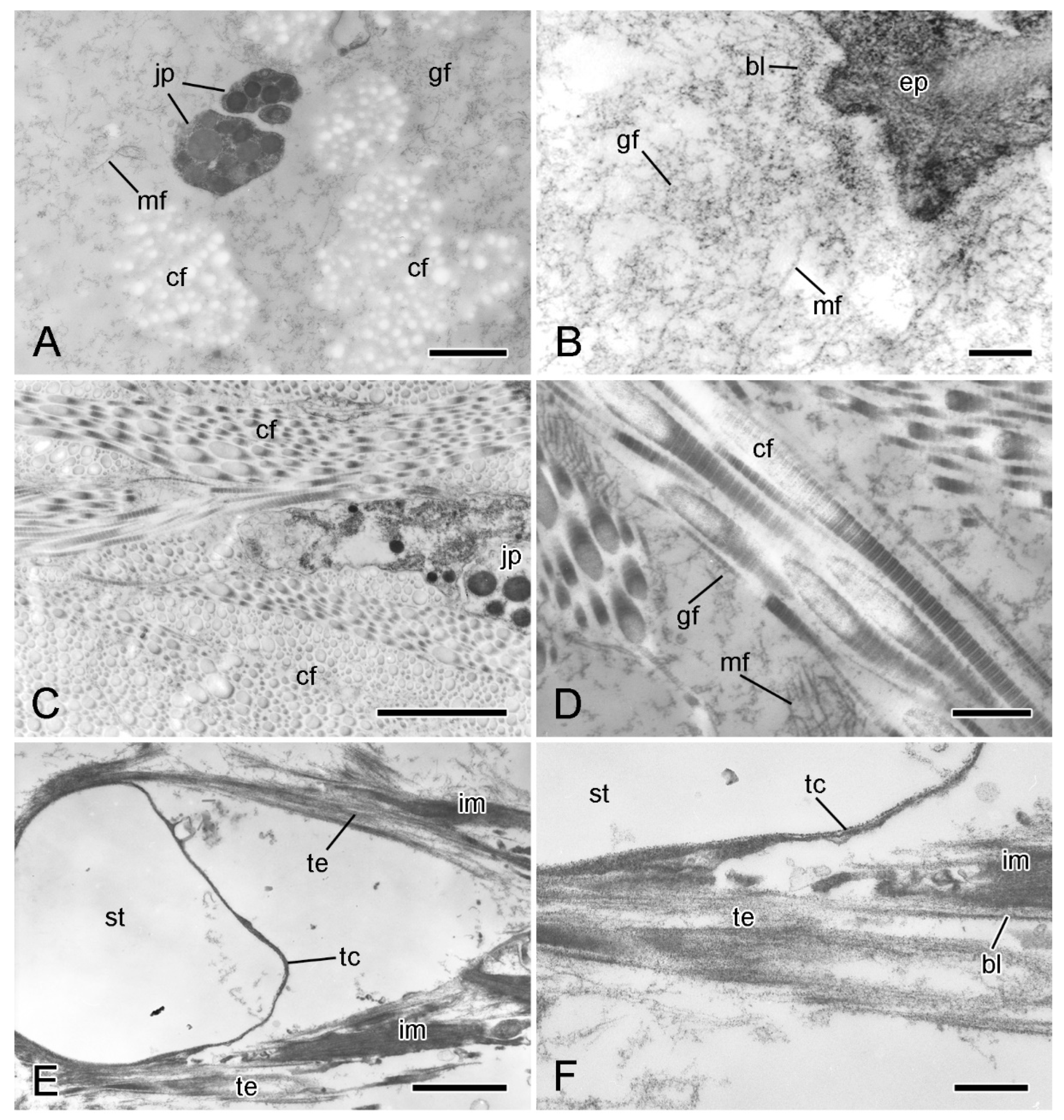 Marinedrugs 21 00138 g005 Marinedrugs 21 00138 g005