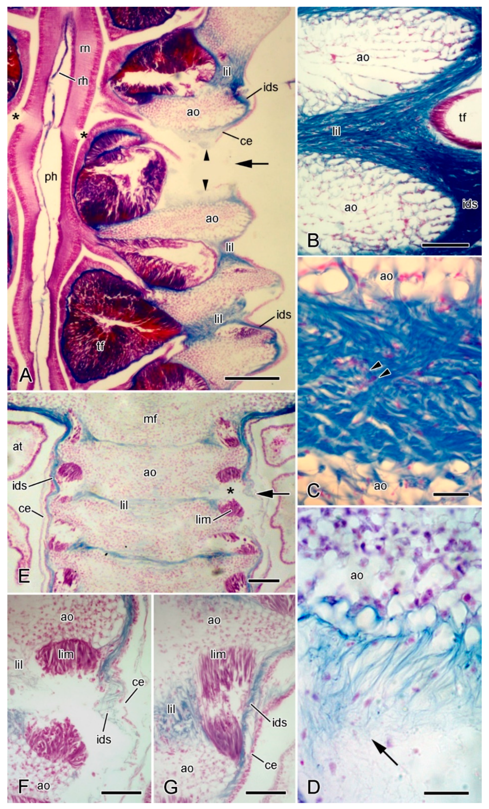 Marinedrugs 21 00138 g009 Marinedrugs 21 00138 g009