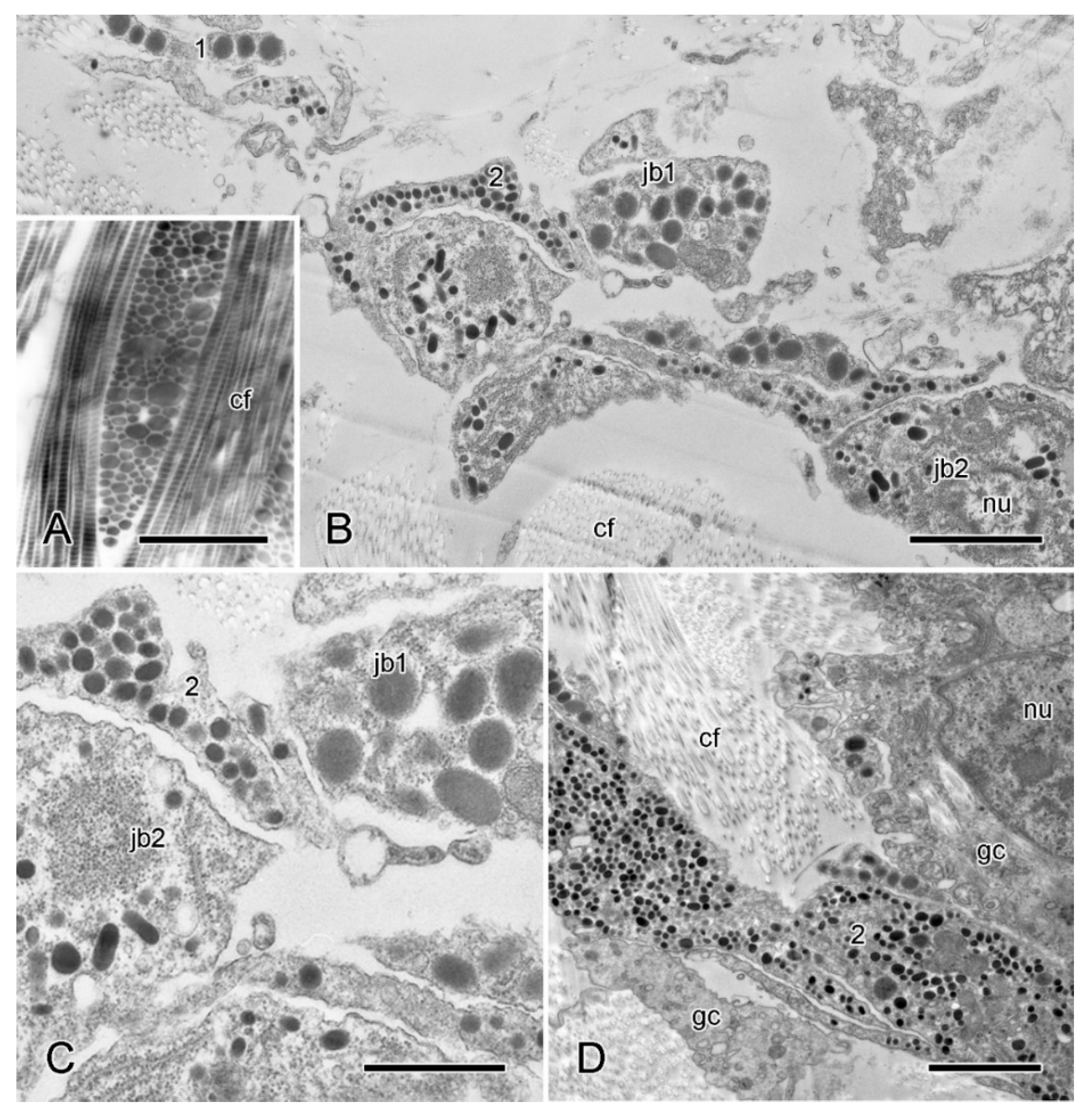 Marinedrugs 21 00138 g010 Marinedrugs 21 00138 g010