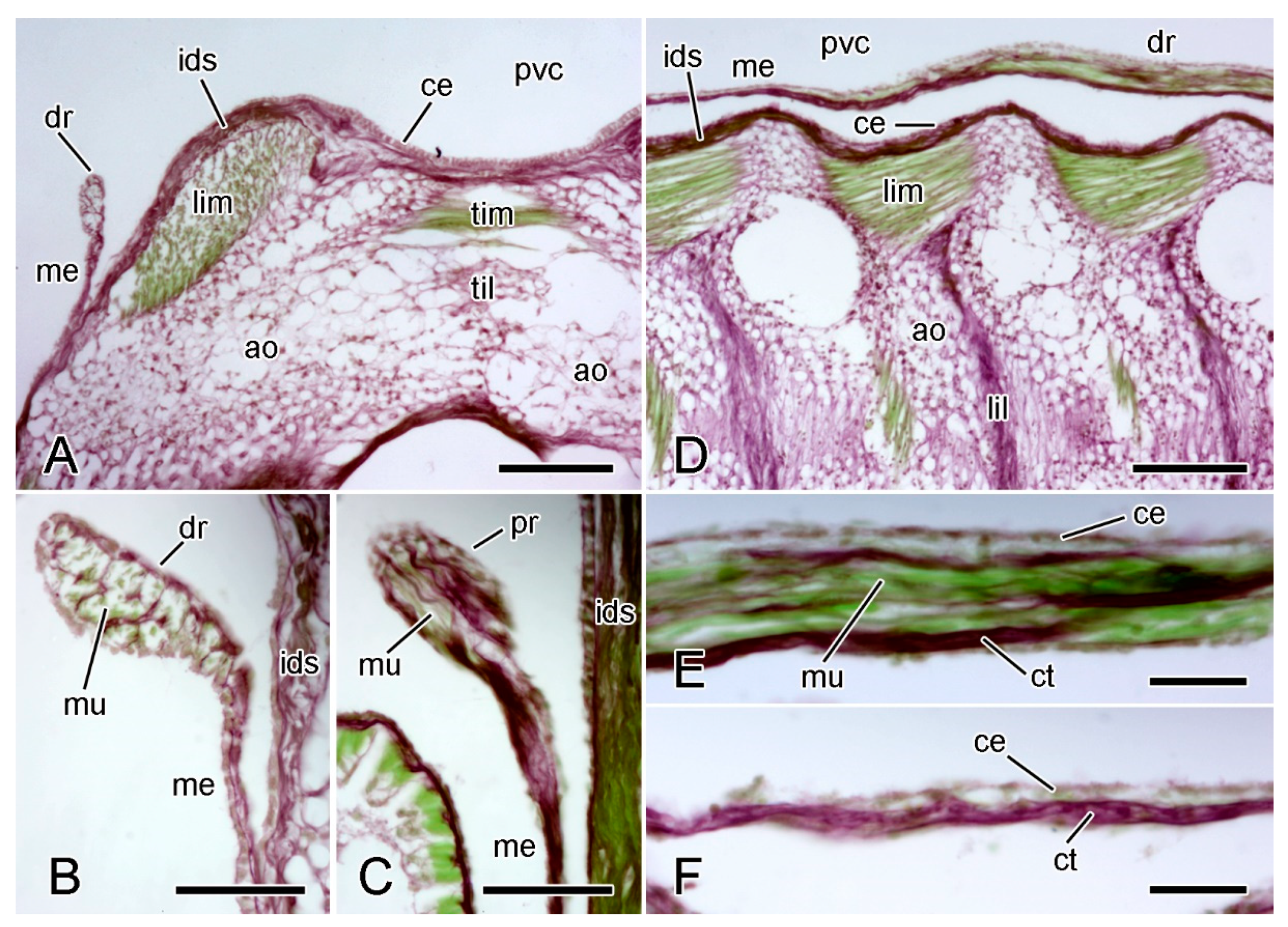 Marinedrugs 21 00138 g011 Marinedrugs 21 00138 g011