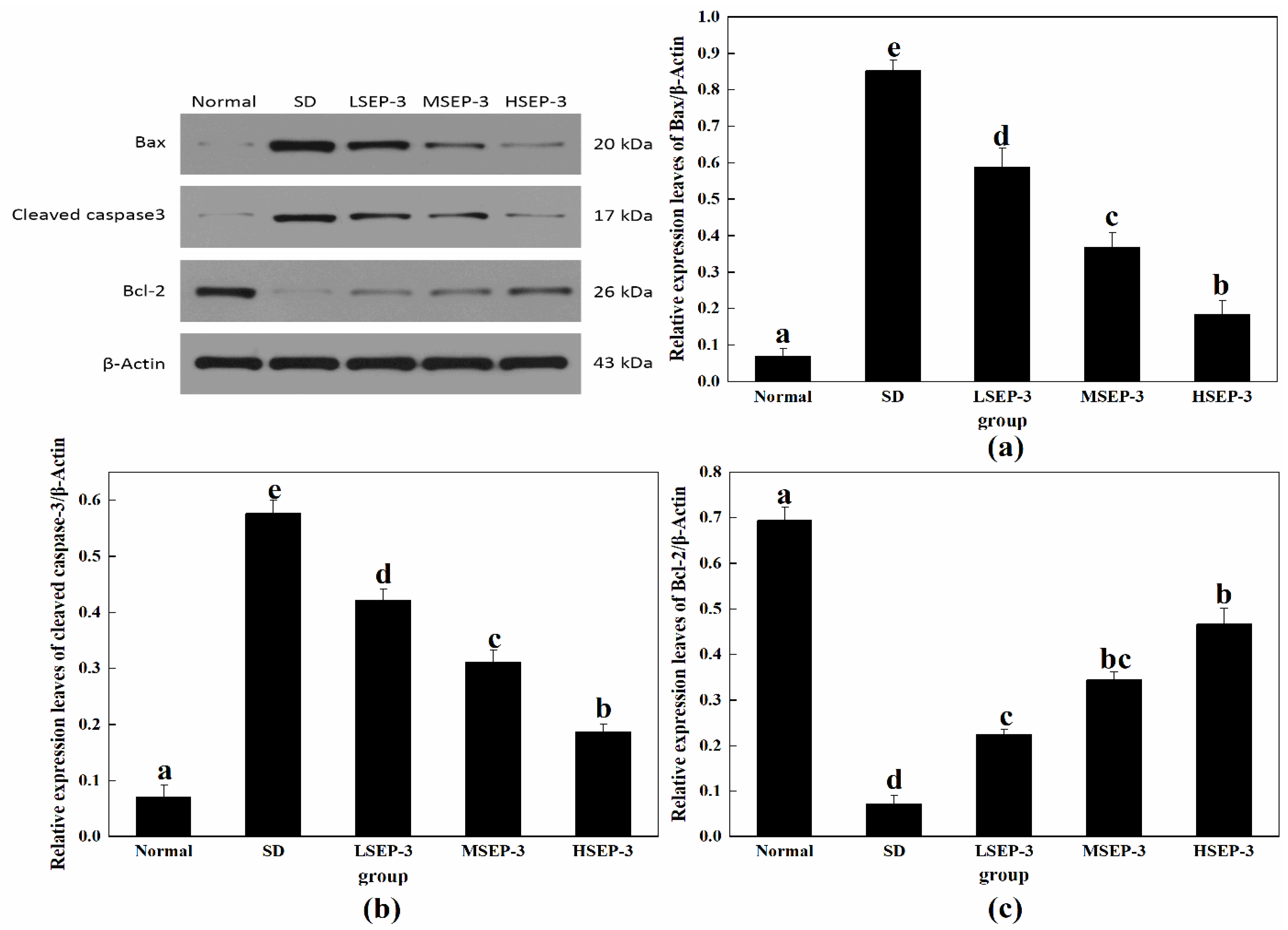 Marinedrugs 21 00139 g004 Marinedrugs 21 00139 g004