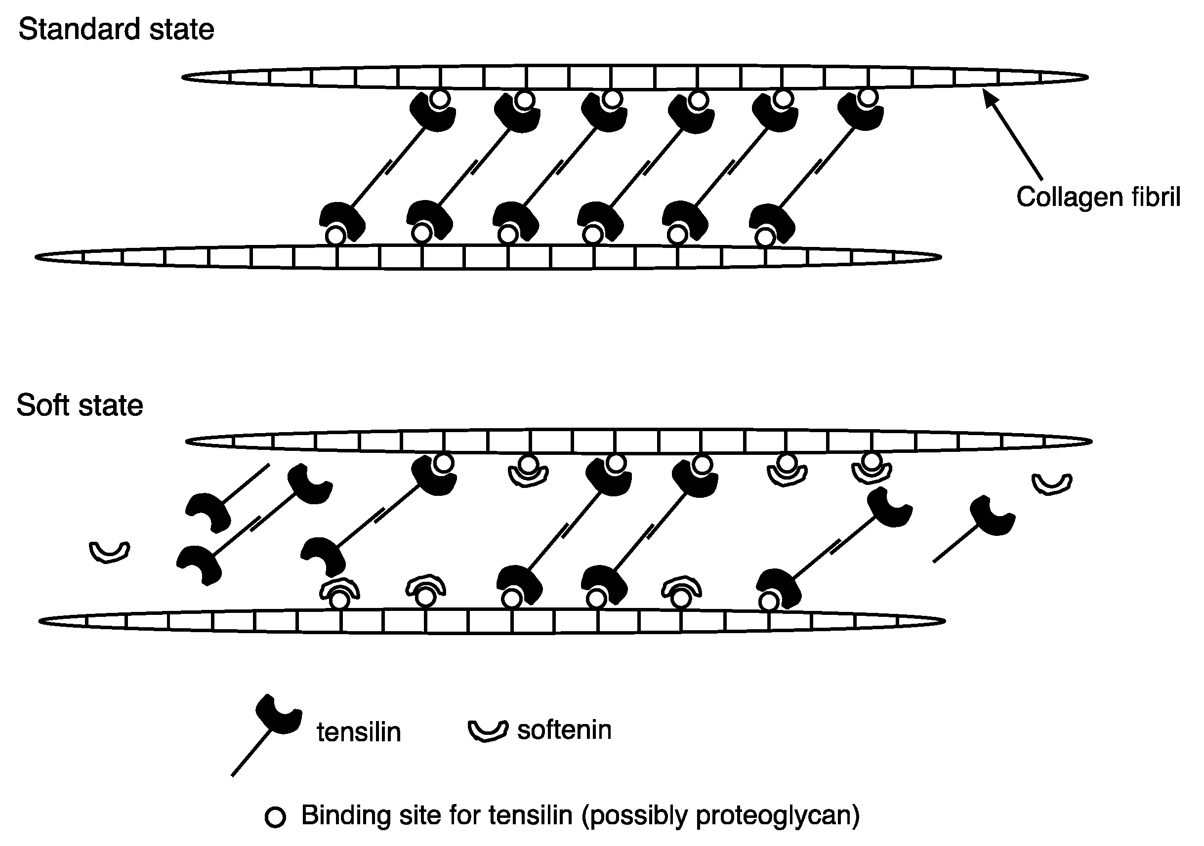 Marinedrugs 21 00140 g002 Marinedrugs 21 00140 g002