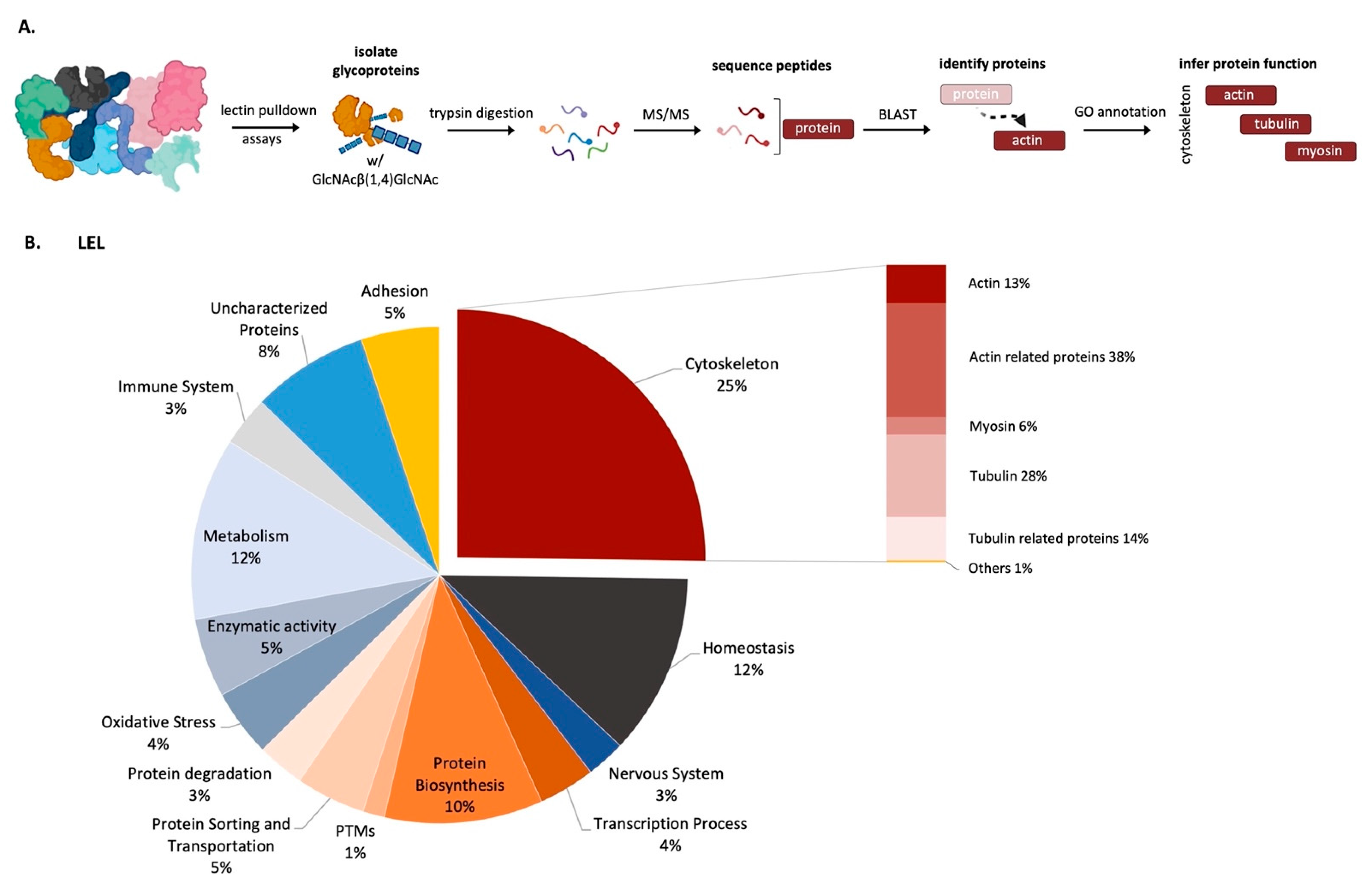 Marinedrugs 21 00145 g003 Marinedrugs 21 00145 g003
