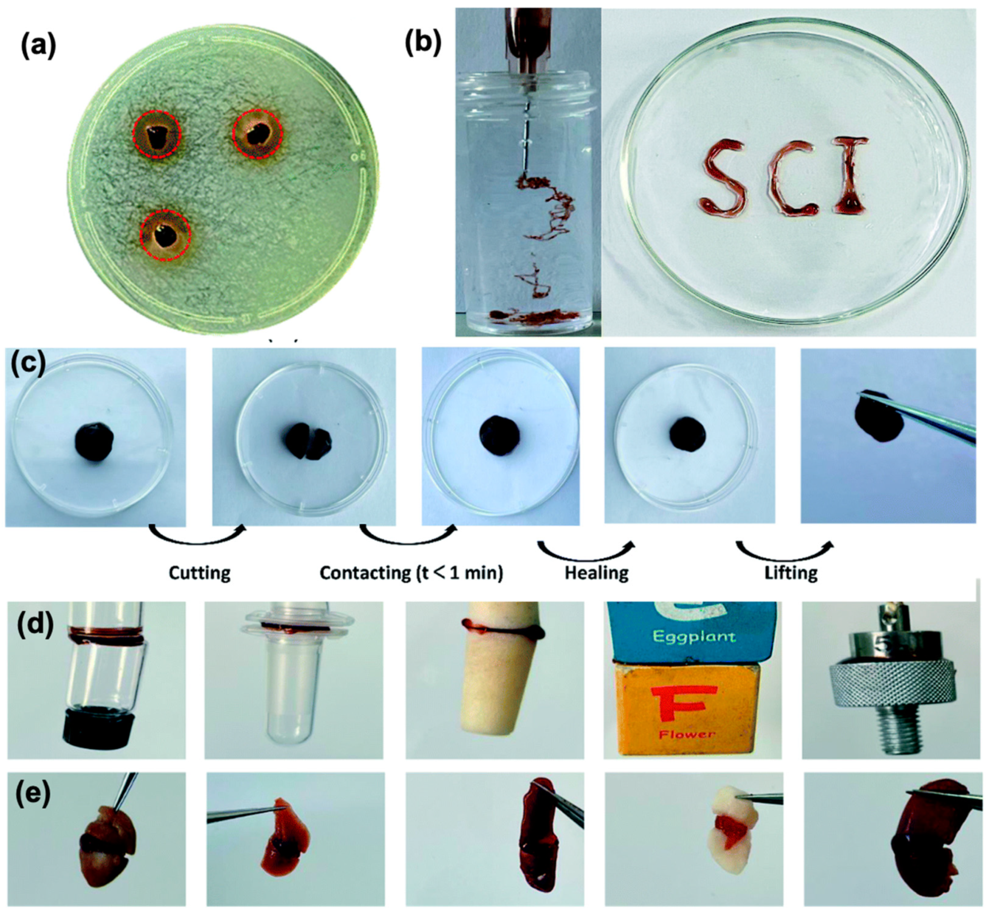 Marinedrugs 21 00147 g008