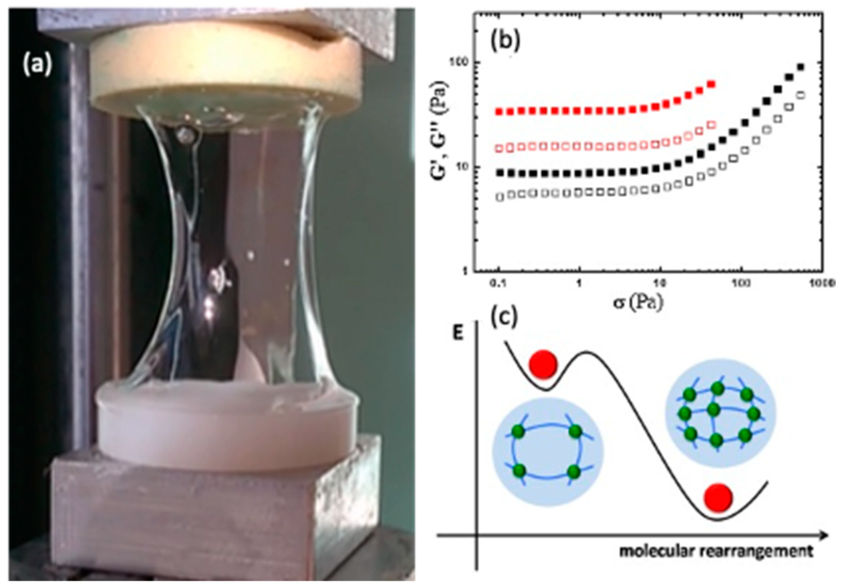 Marinedrugs 21 00147 g009